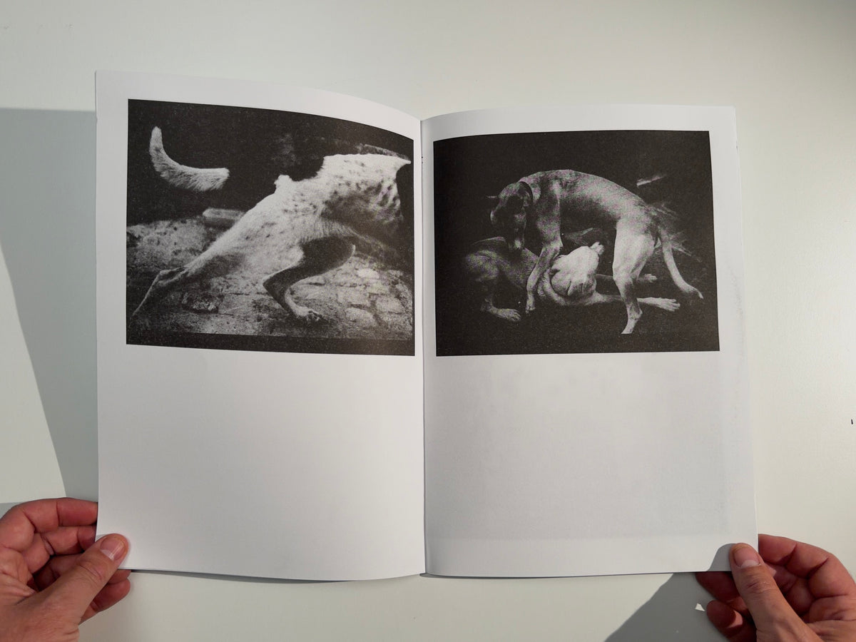 Emergence — Giacomo Brunelli & Joseph Rutakangwa — Éditions Bessard — 2025