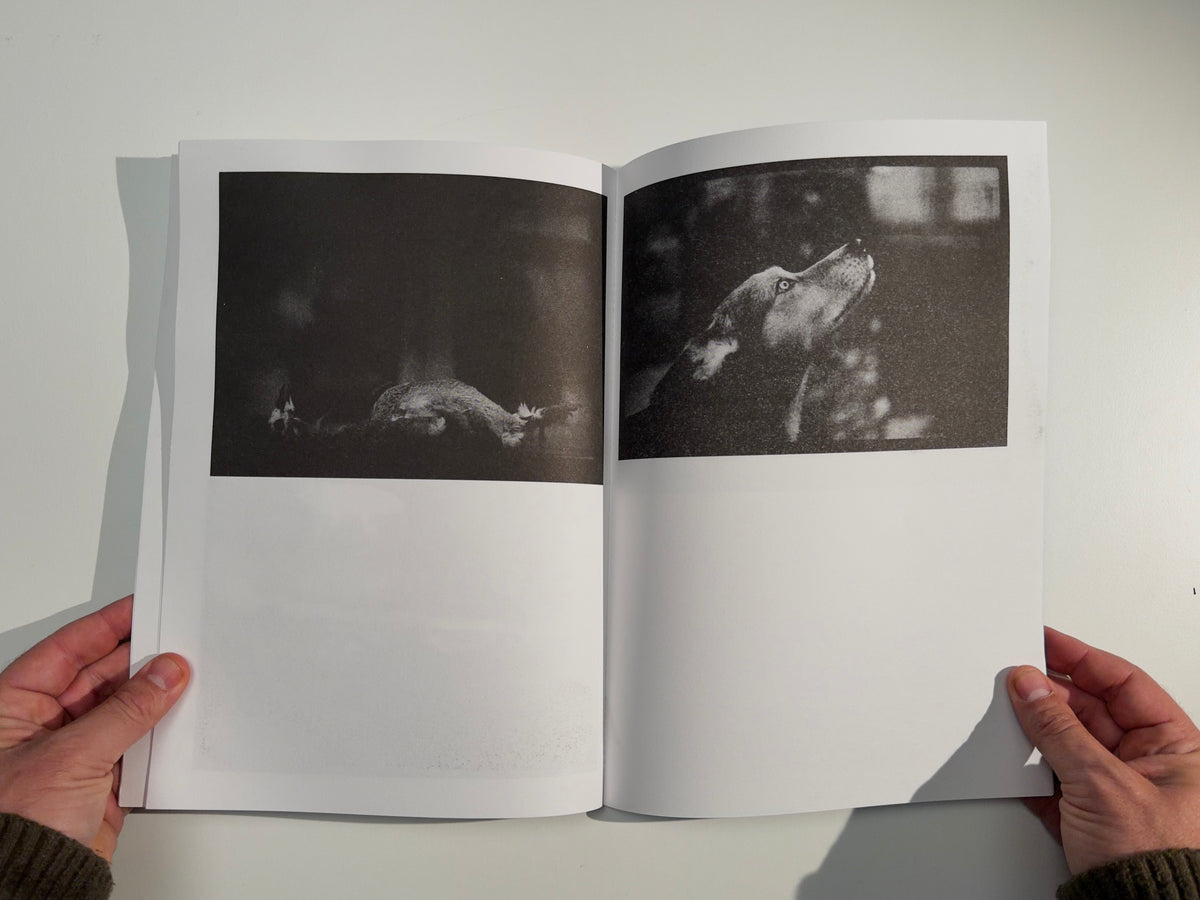 Emergence — Giacomo Brunelli & Joseph Rutakangwa — Éditions Bessard — 2025