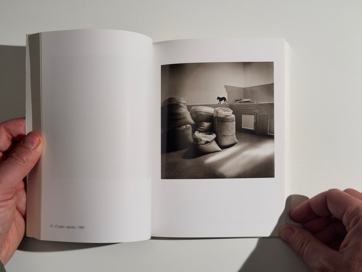 Juan Manuel Castro Prieto — Obra Social Caja Madrid — 1998