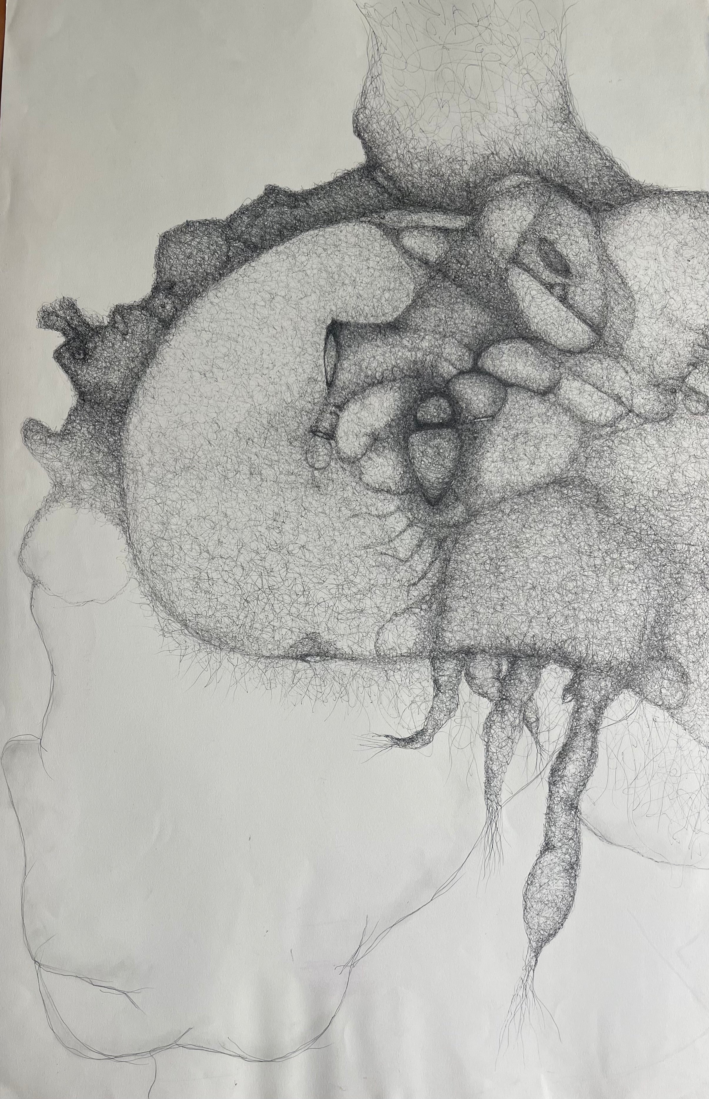 Rodrigo Gross — Des formes qui bourdonnent