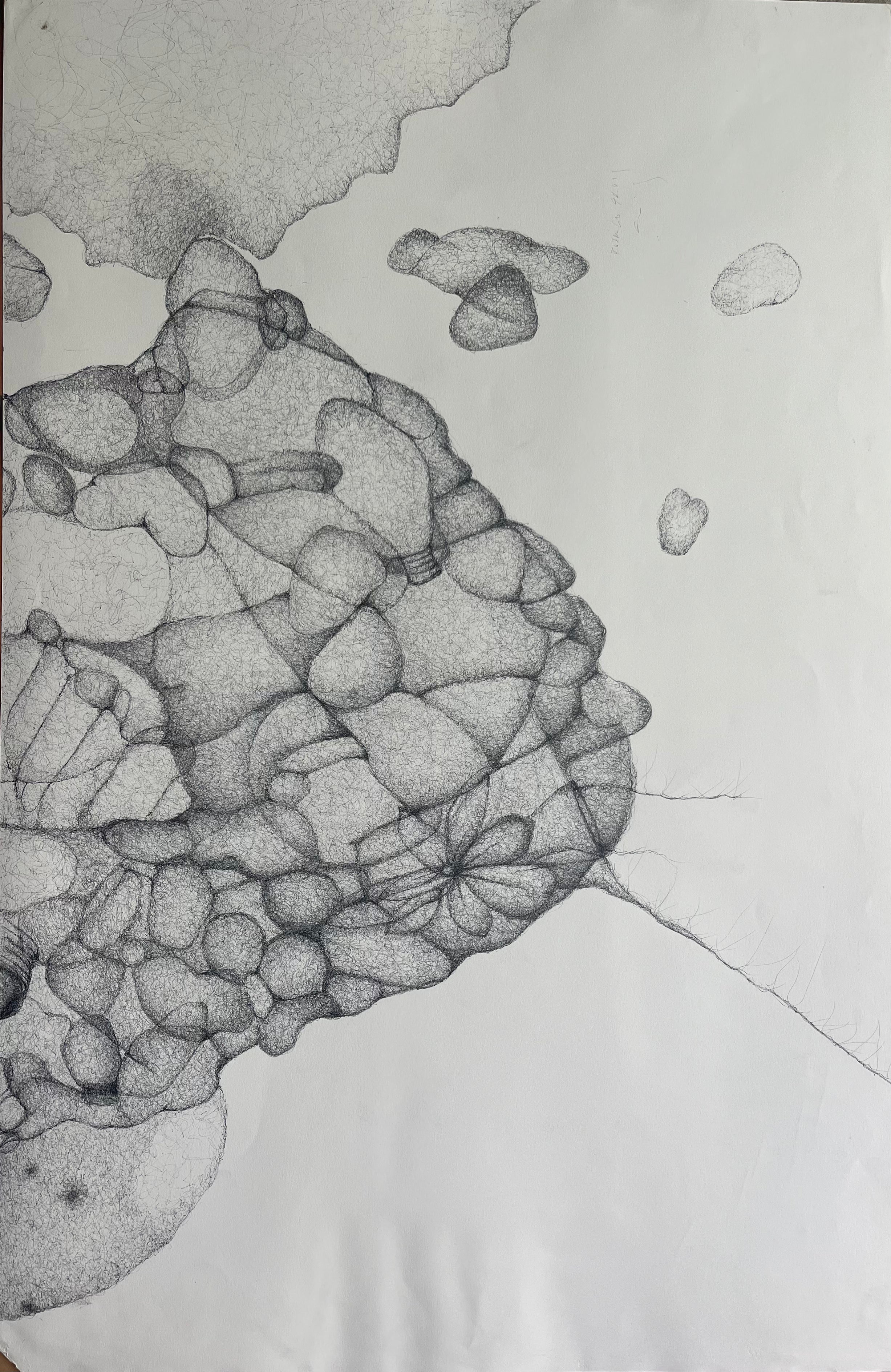 Rodrigo Gross — Des formes qui bourdonnent