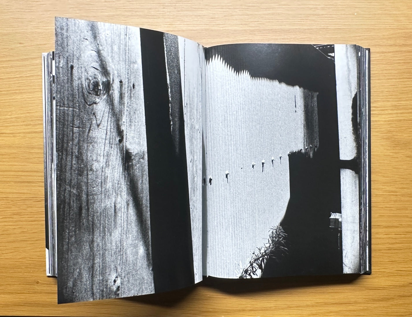 The World through My Eyes — Daido Moriyama (2010) – DaRWIN