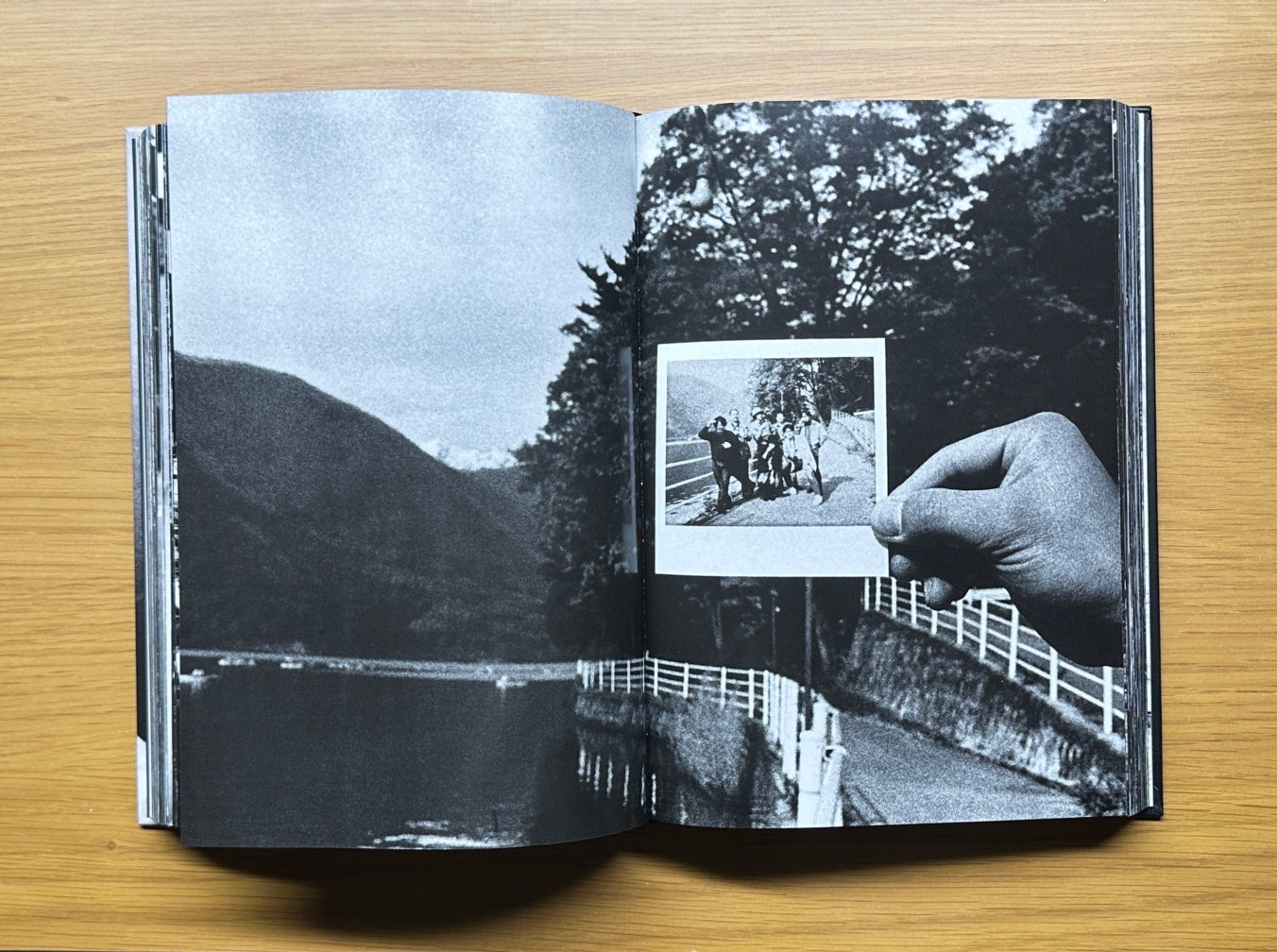 The World through My Eyes — Daido Moriyama (2010) – DaRWIN