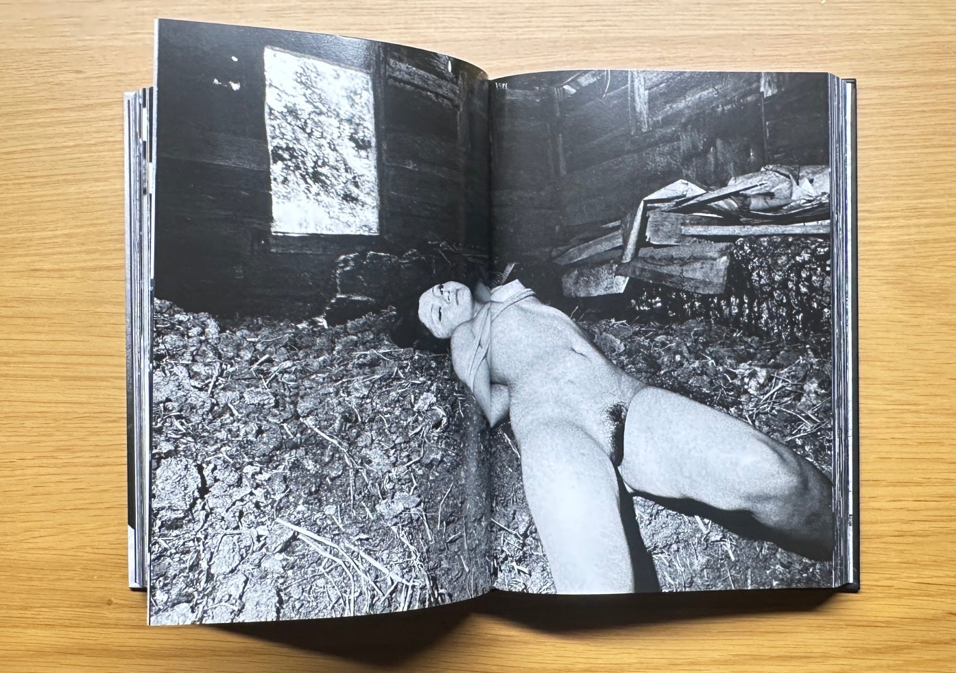 The World through My Eyes — Daido Moriyama (2010)