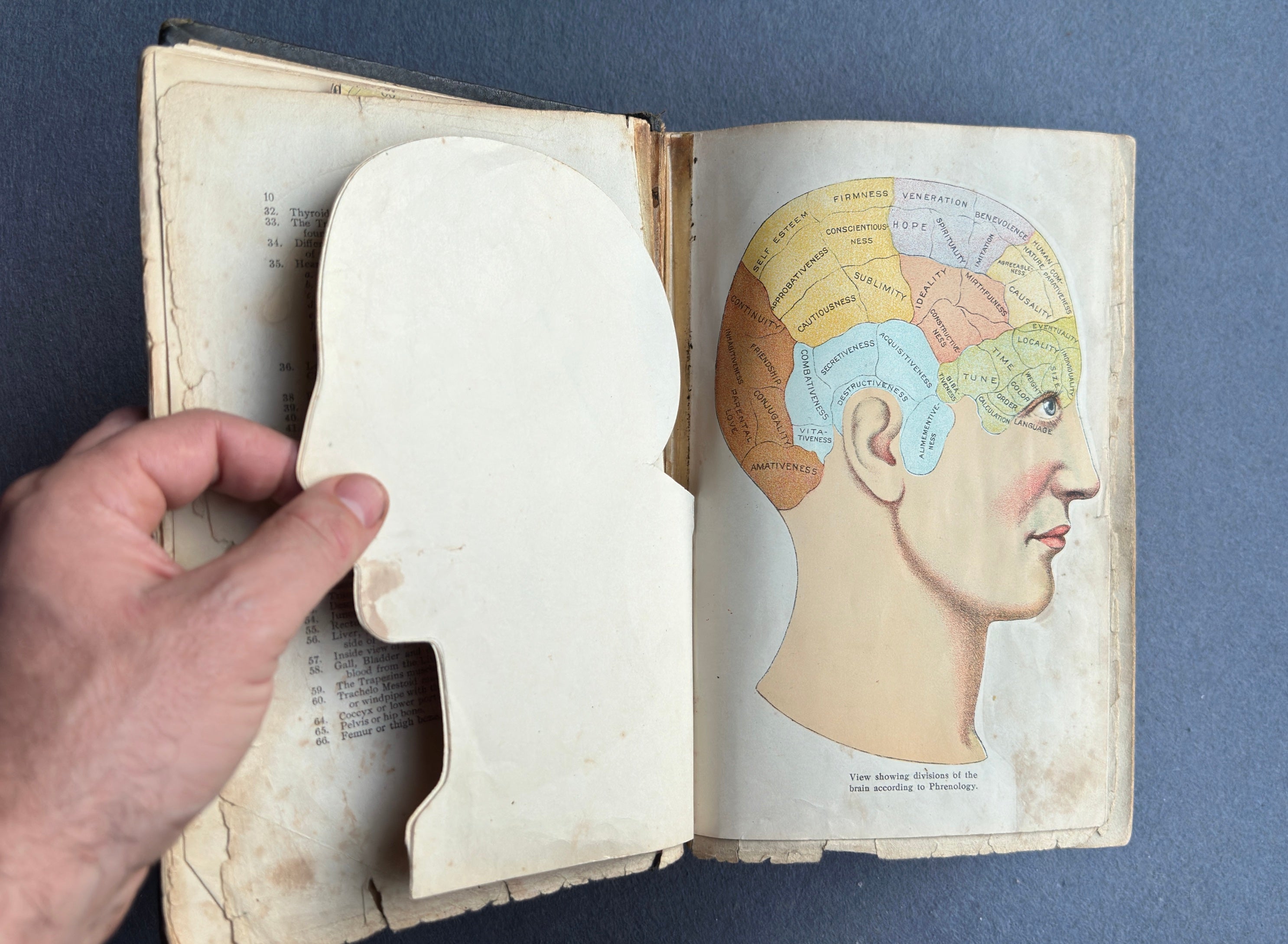 Vitalogy – E.H. Ruddock, M.D. – 1926