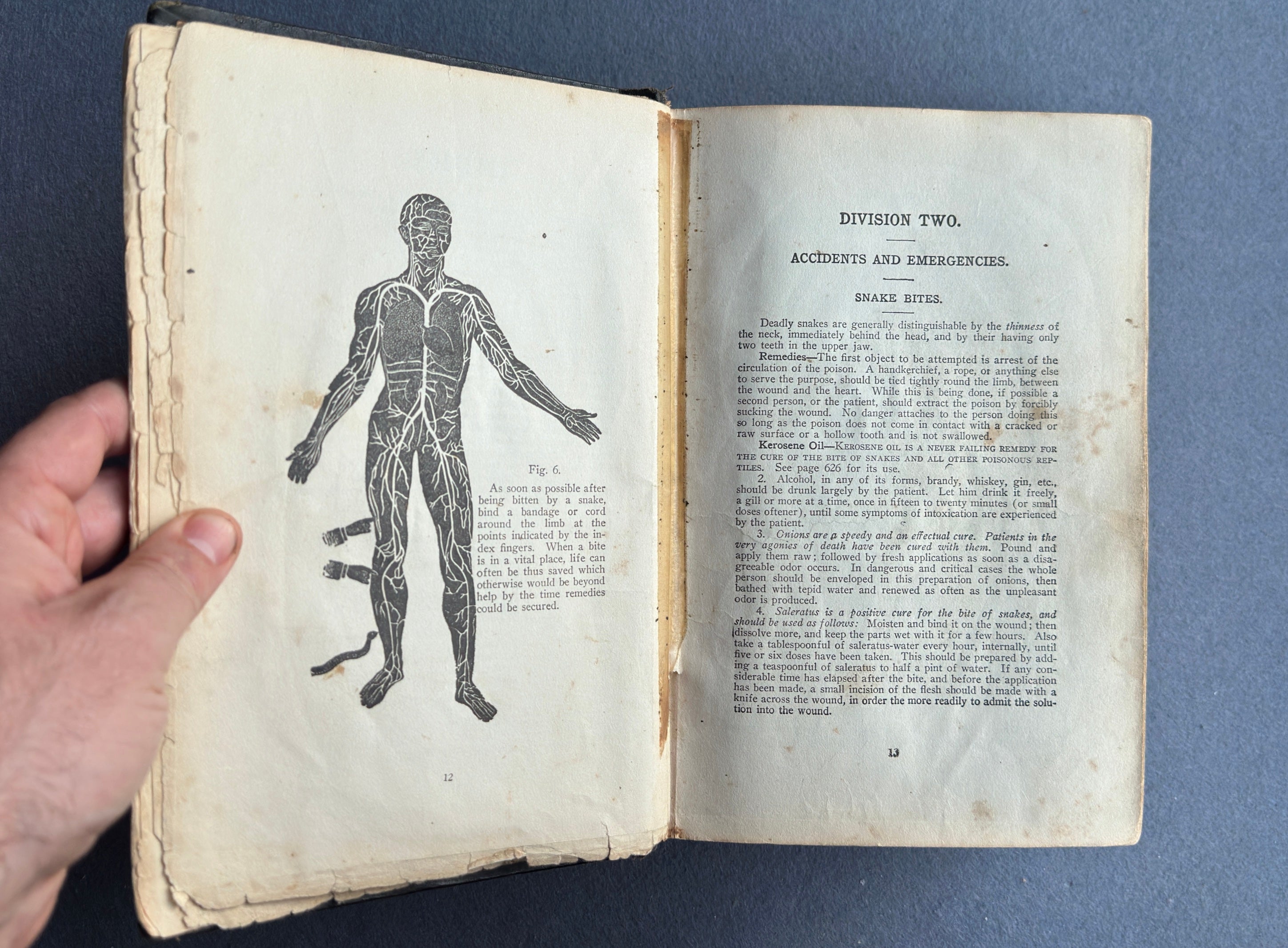 Vitalogy – E.H. Ruddock, M.D. – 1926