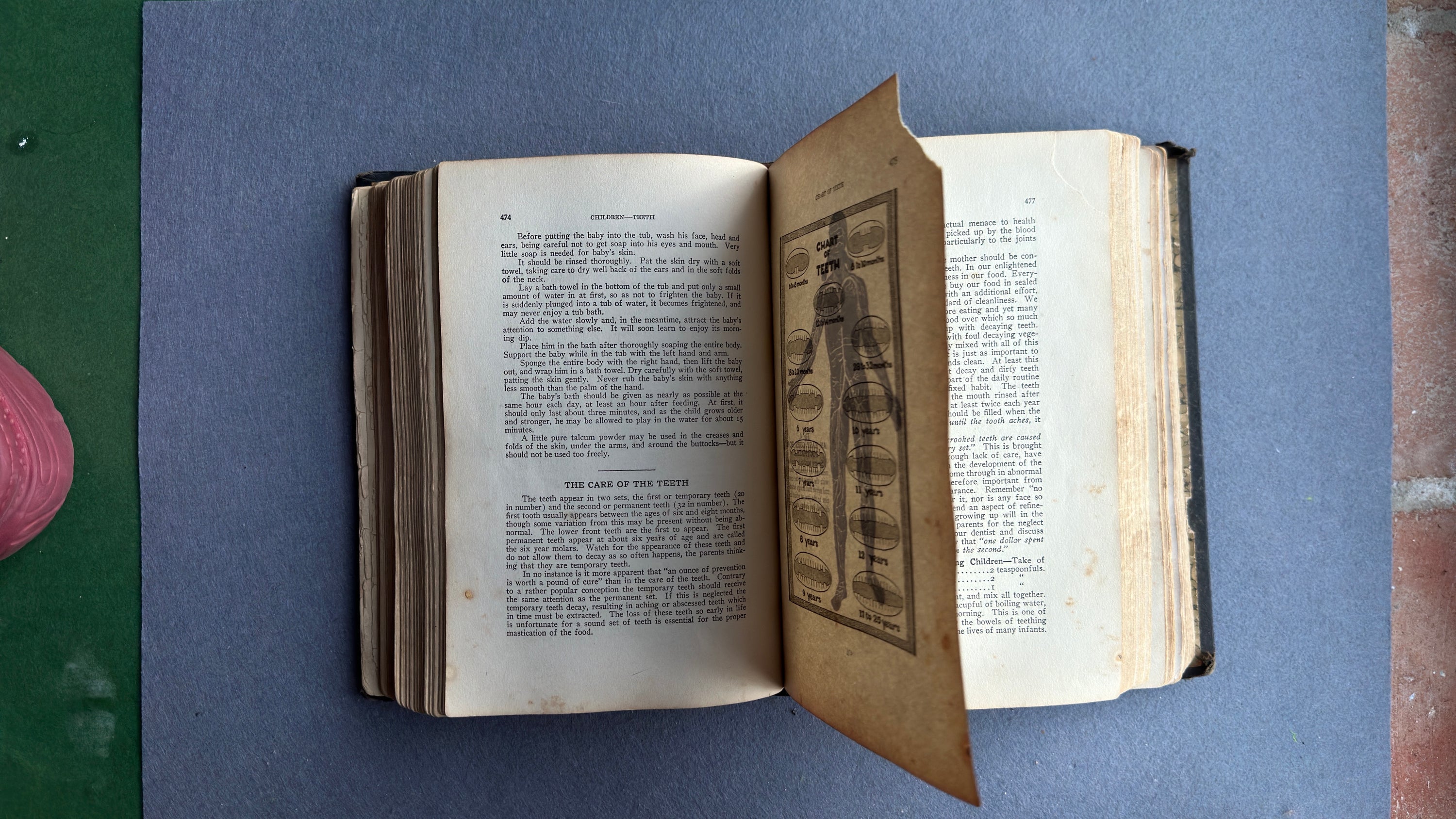Vitalogy – E.H. Ruddock, M.D. – 1926