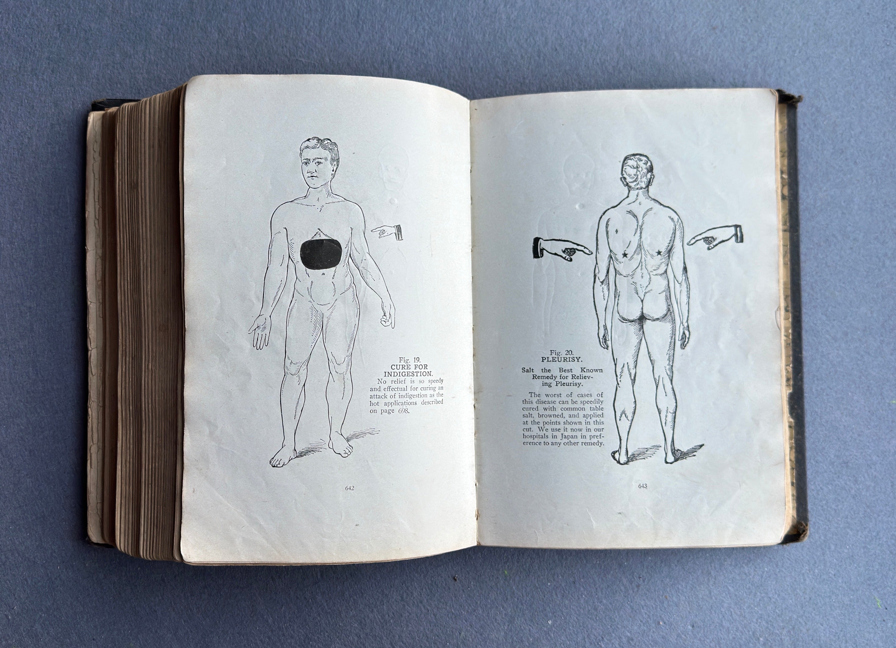 Vitalogy – E.H. Ruddock, M.D. – 1926