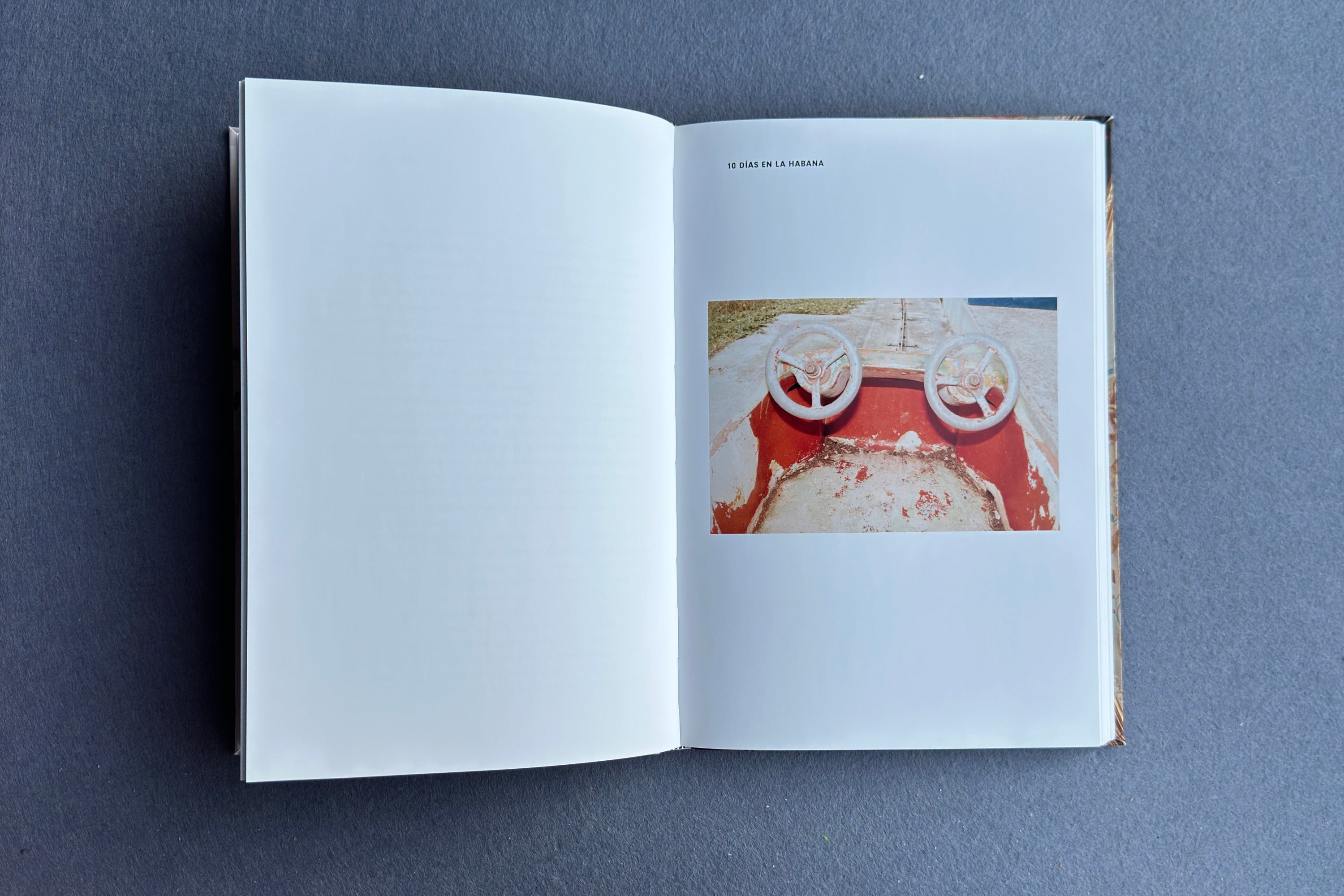 Calves and Thighs – Juergen Teller – 2010