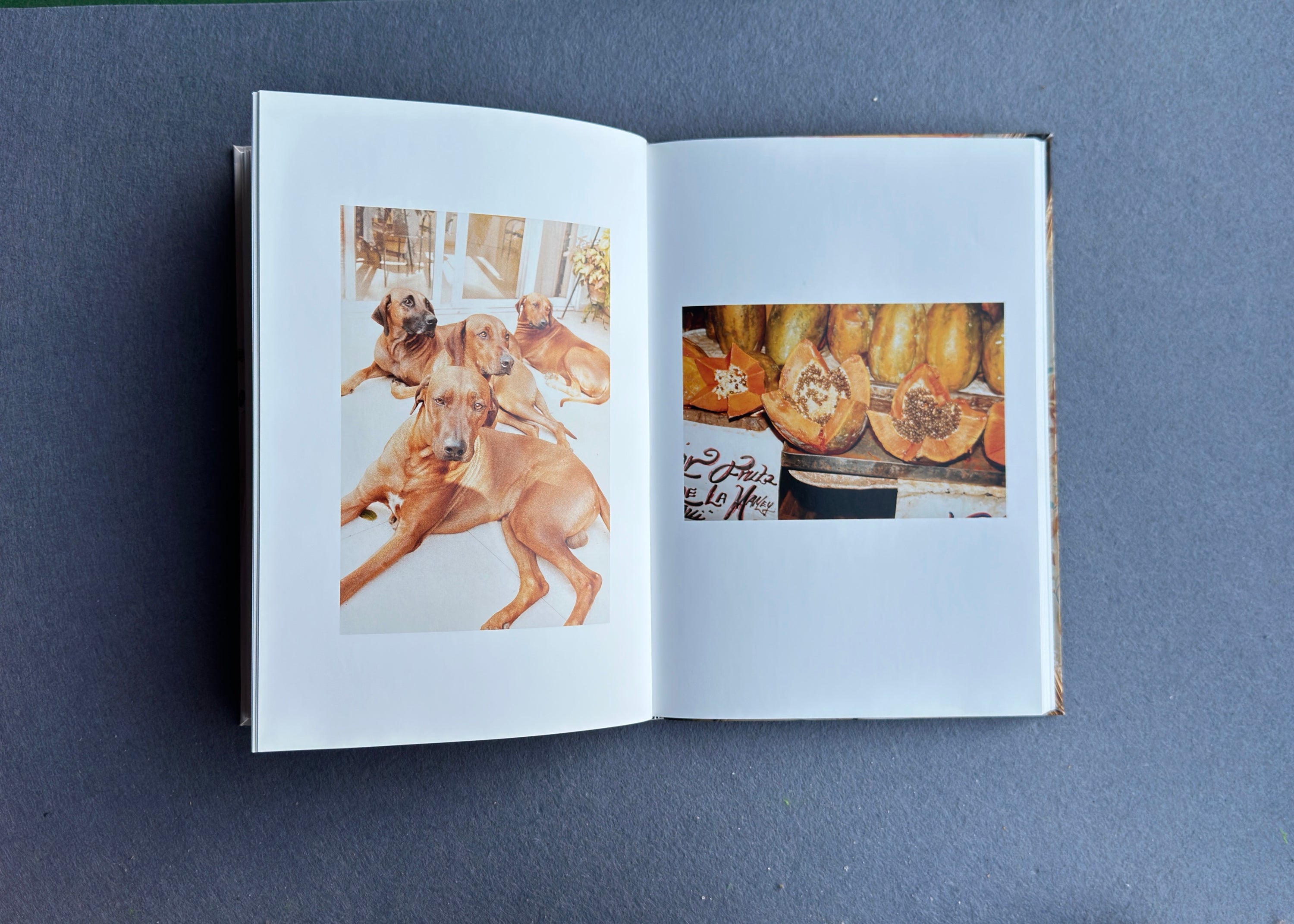 Calves and Thighs – Juergen Teller – 2010