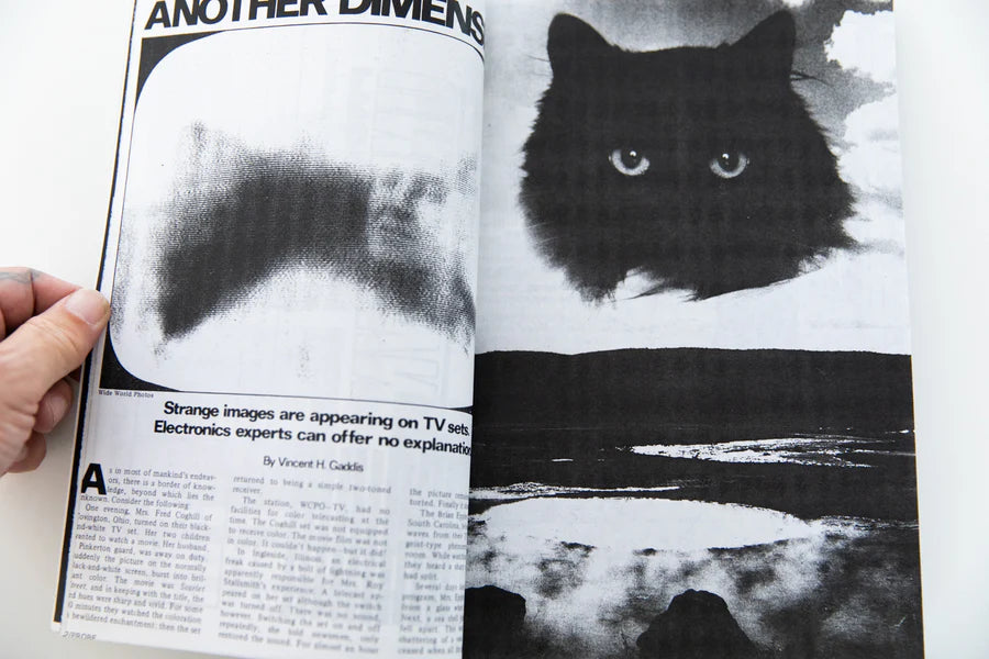 In Bed With an Alien Kidnapper — Thibault Tourmente, 2024, signed edition of 20