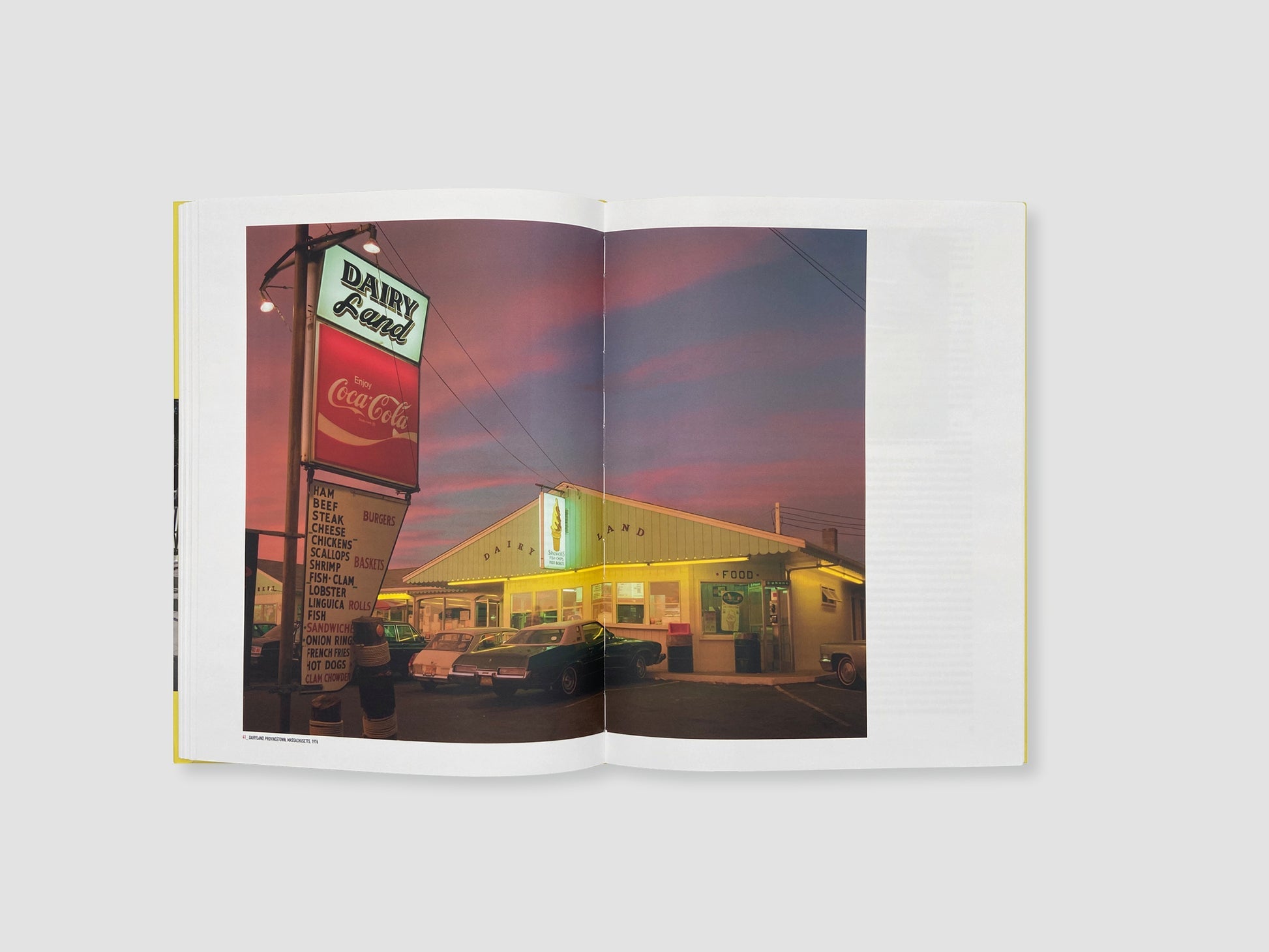 The Pleasure of Seeing — Joel Meyerowitz / Lorenzo Braca, Damiani, 2023