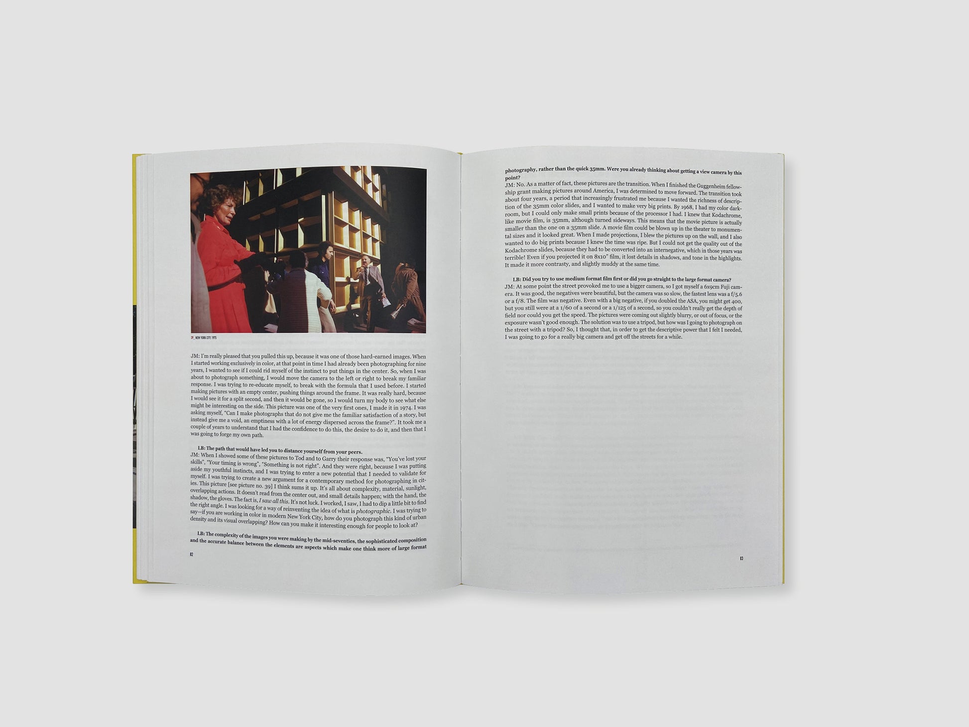 The Pleasure of Seeing — Joel Meyerowitz / Lorenzo Braca, Damiani, 2023