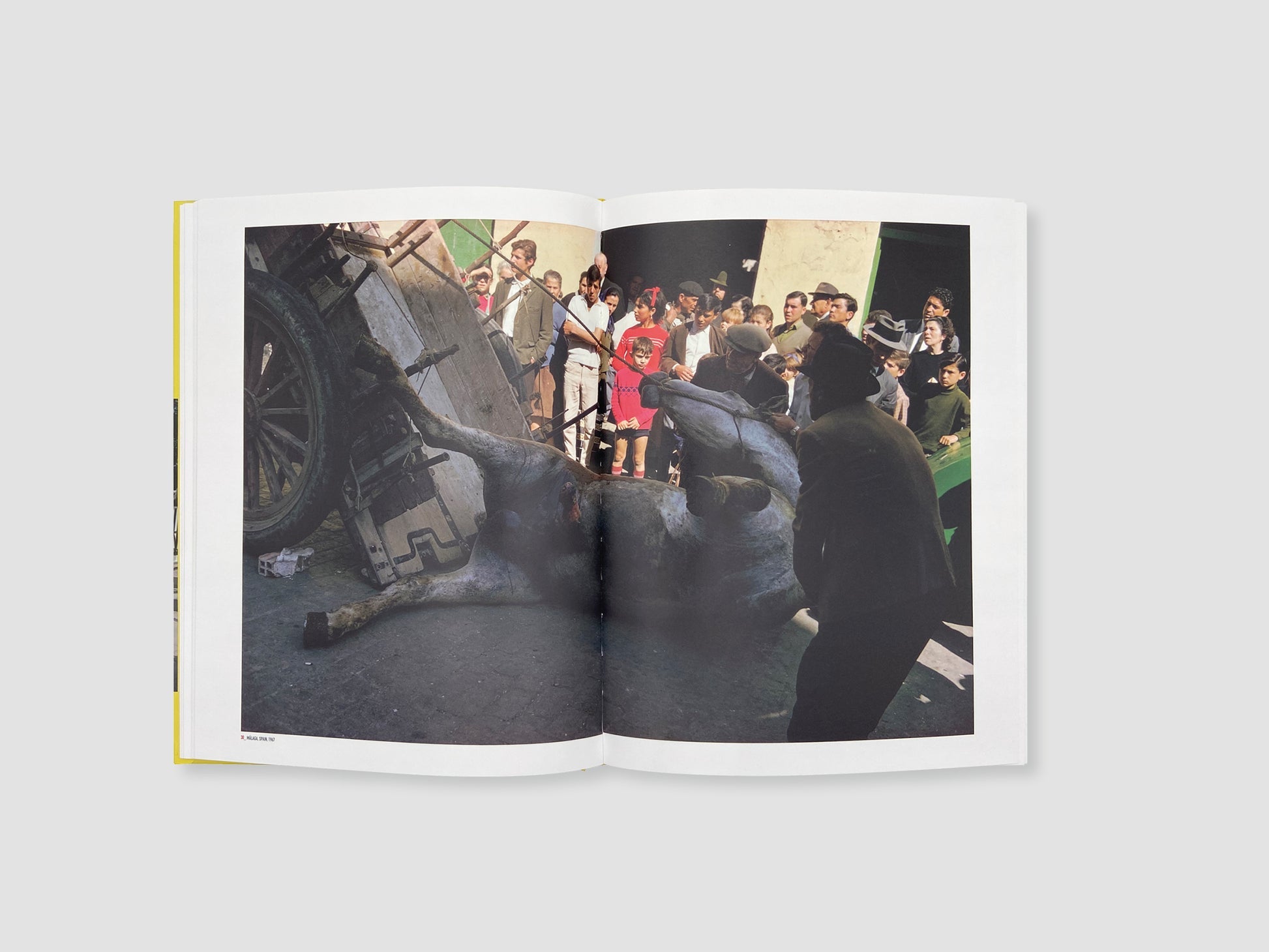 The Pleasure of Seeing — Joel Meyerowitz / Lorenzo Braca, Damiani, 2023