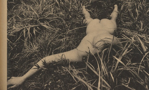 MAYFLY — Daido Moriyama — Akio Nagasawa Publishing — 2019