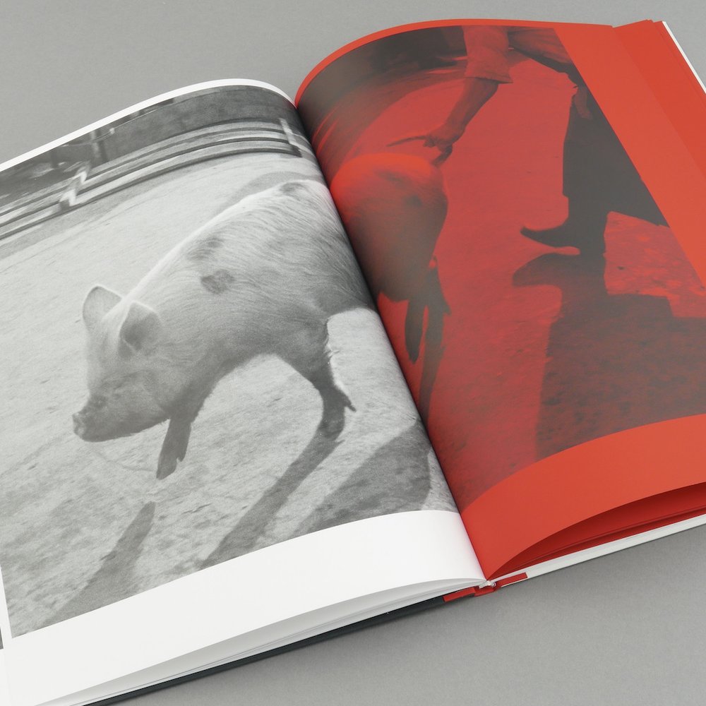 Kill the Pig — Masahisa Fukase — IBASHO & the(M) éditions — 2021
