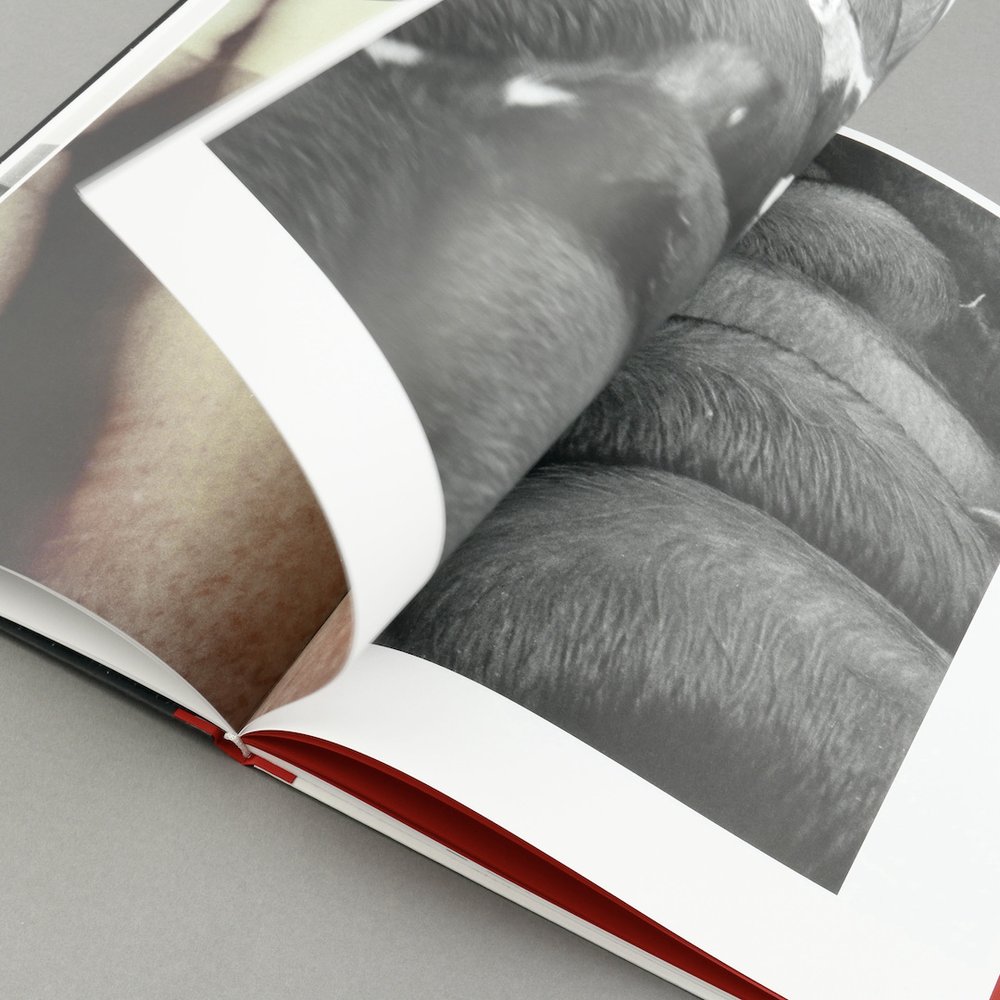 Kill the Pig — Masahisa Fukase — IBASHO & the(M) éditions — 2021