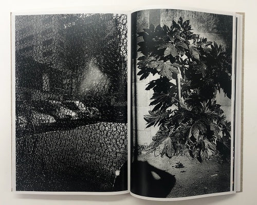 Naomi — Daido Moriyama — Akio Nagasawa Publishing — 2021