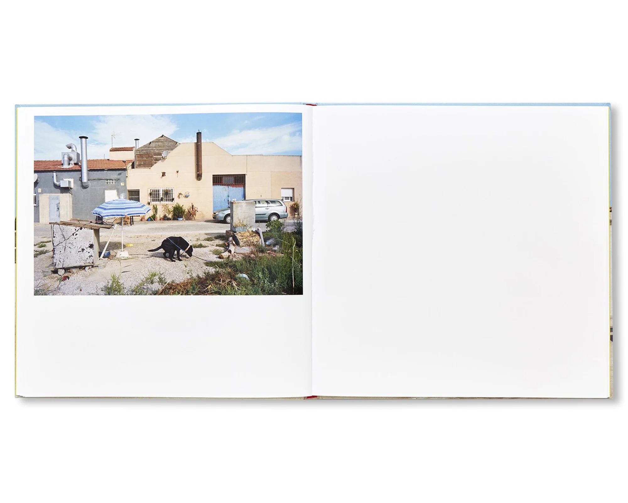 Perfect Day — Txema Salvans, 2020