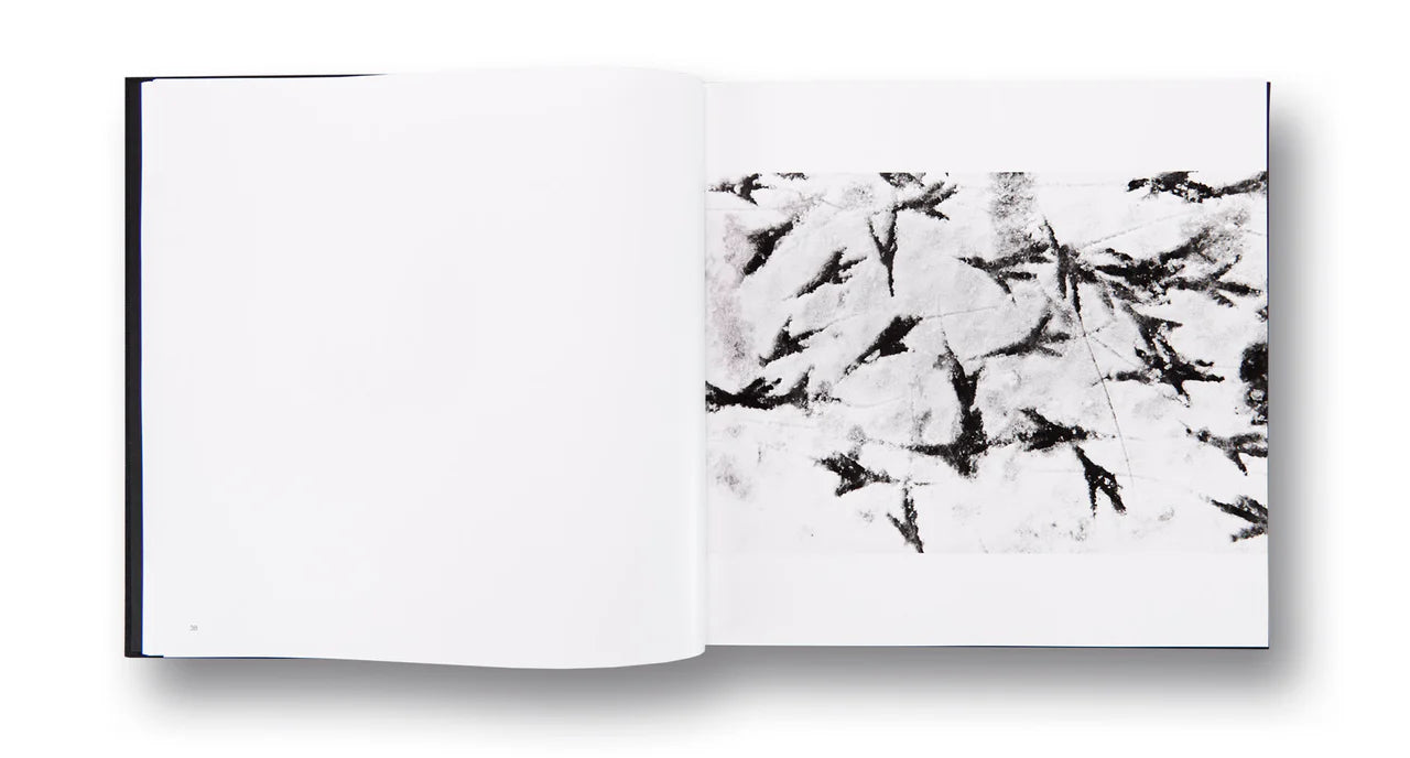 Corbeaux — Masahisa Fukase, édition MACK 2017