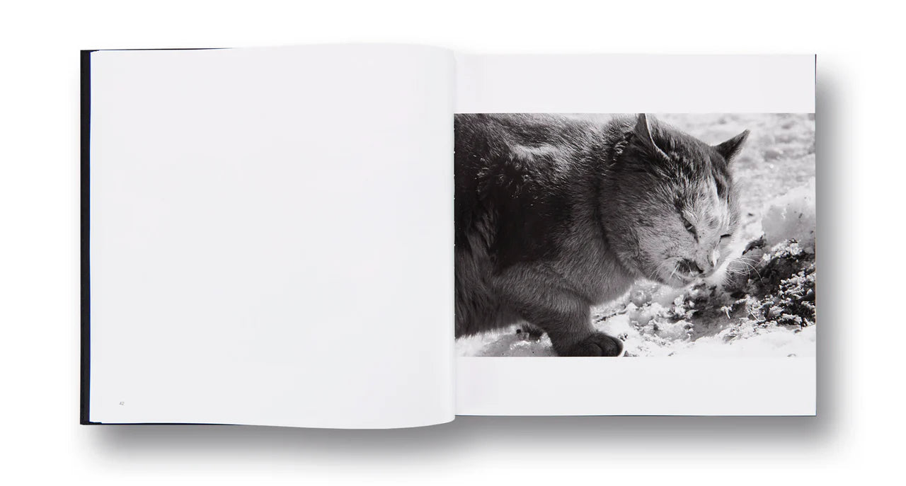Corbeaux — Masahisa Fukase, édition MACK 2017