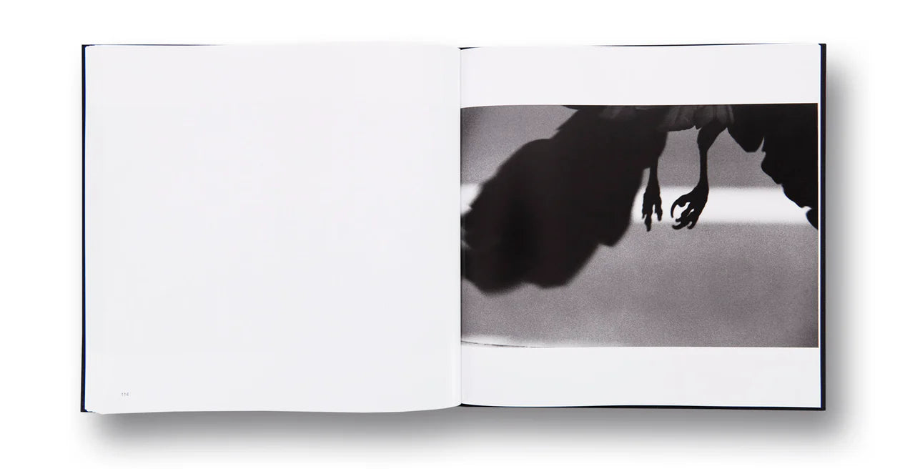 Corbeaux — Masahisa Fukase, édition MACK 2017