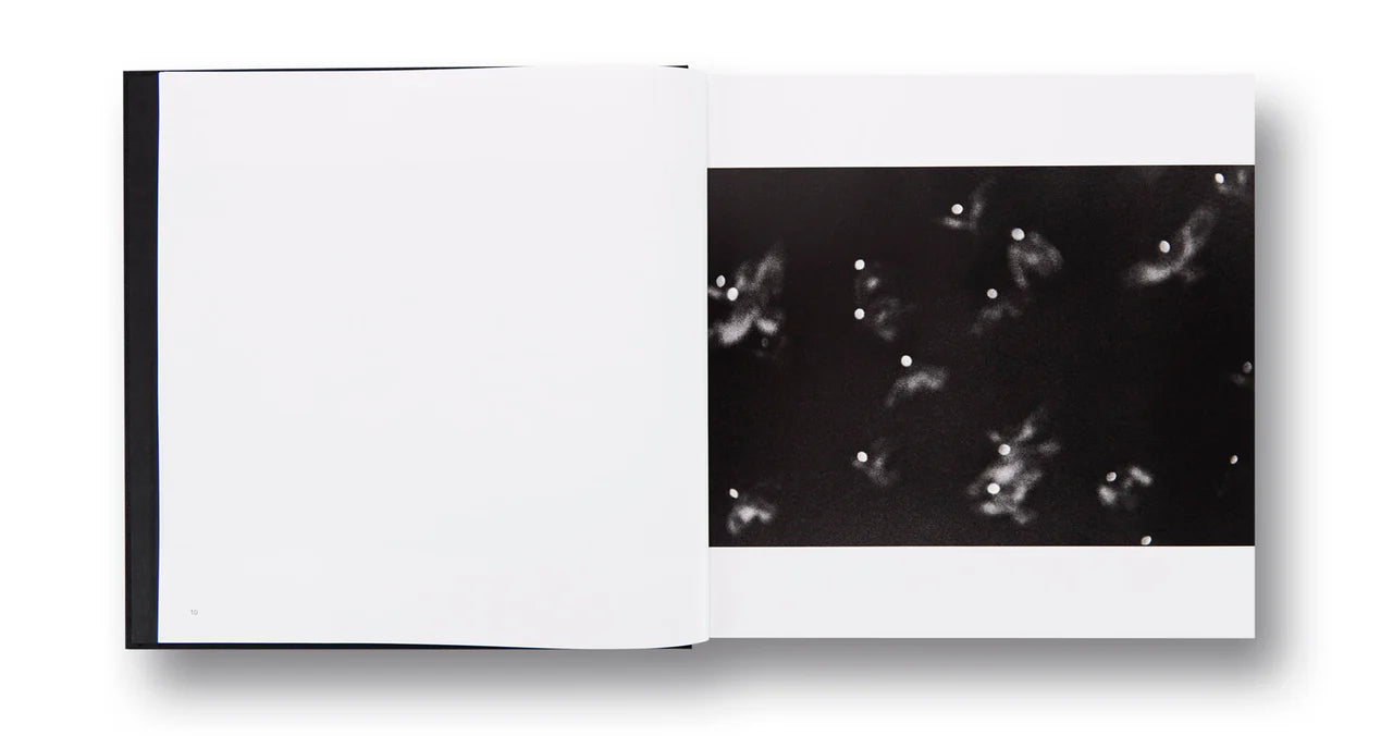 Corbeaux — Masahisa Fukase, édition MACK 2017