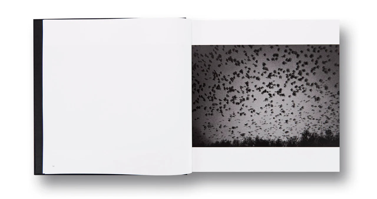 Corbeaux — Masahisa Fukase, édition MACK 2017