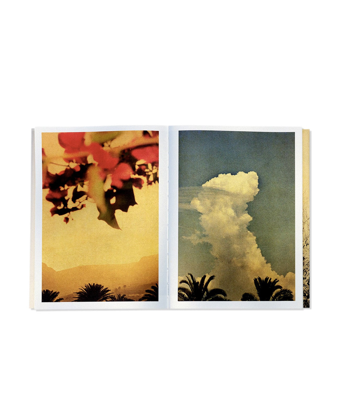 Photographic Syntax — Albarrán Cabrera — the(M) éditions & IBASHO — 2023