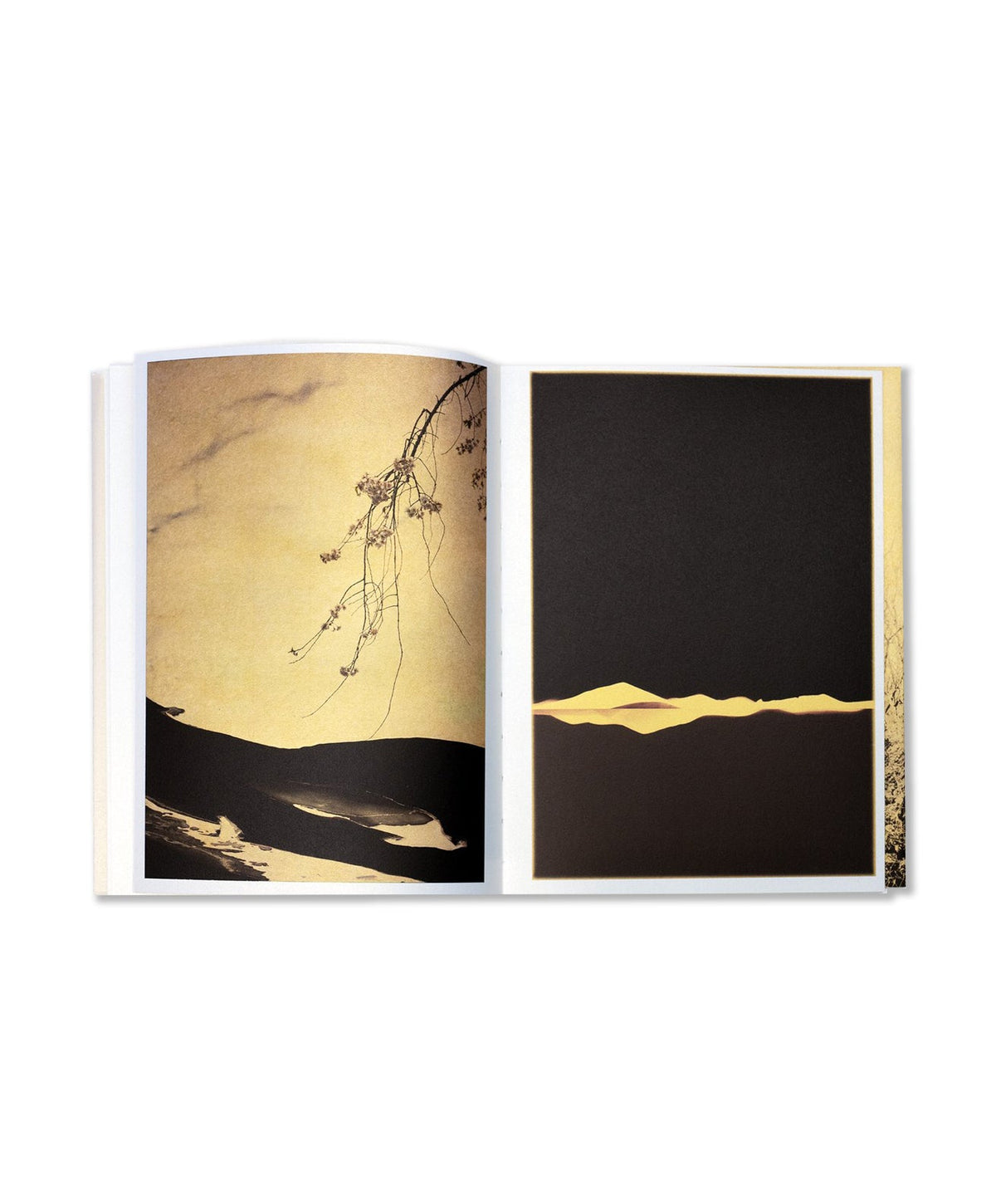 Photographic Syntax — Albarrán Cabrera — the(M) éditions & IBASHO — 2023