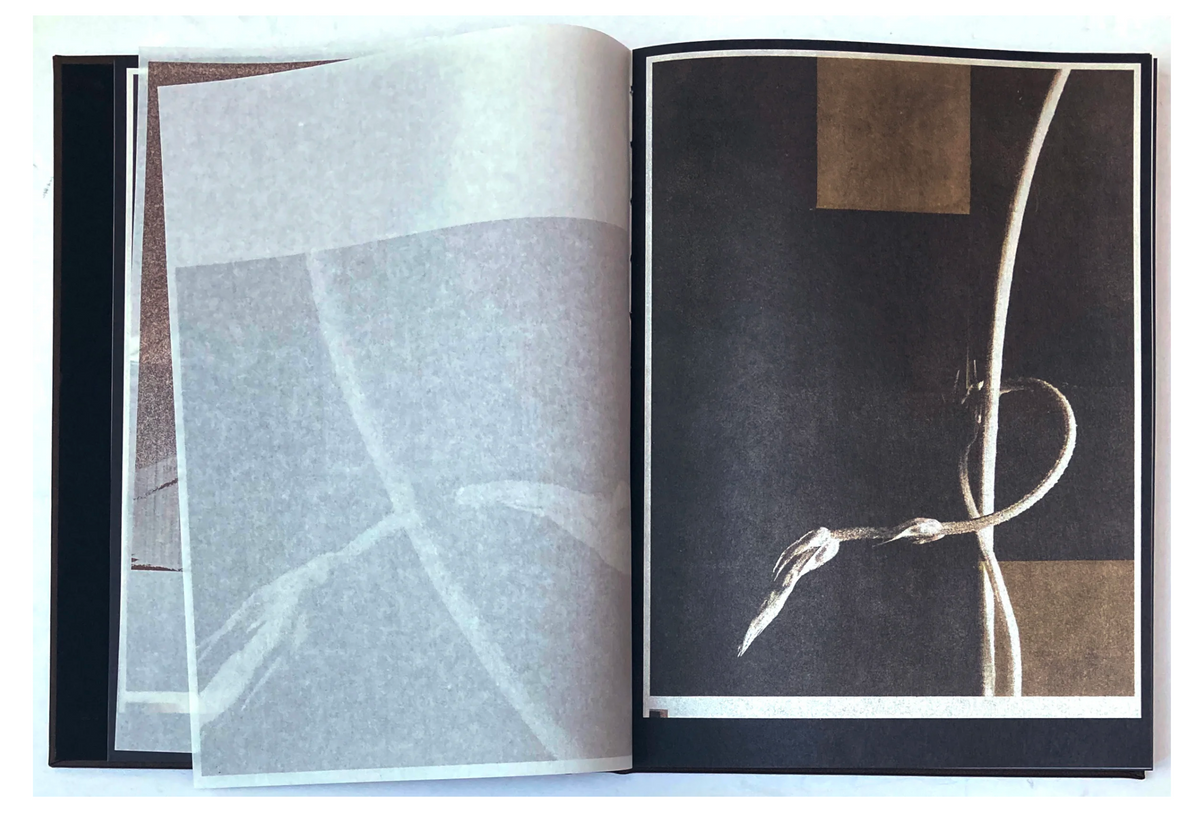 As the twig is bent, so grows the tree. — Norio Takasugi — IBASHO & the(M) éditions — 2025