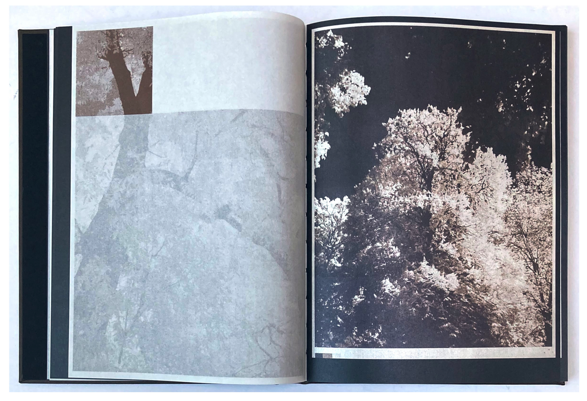 As the twig is bent, so grows the tree. — Norio Takasugi — IBASHO & the(M) éditions — 2025