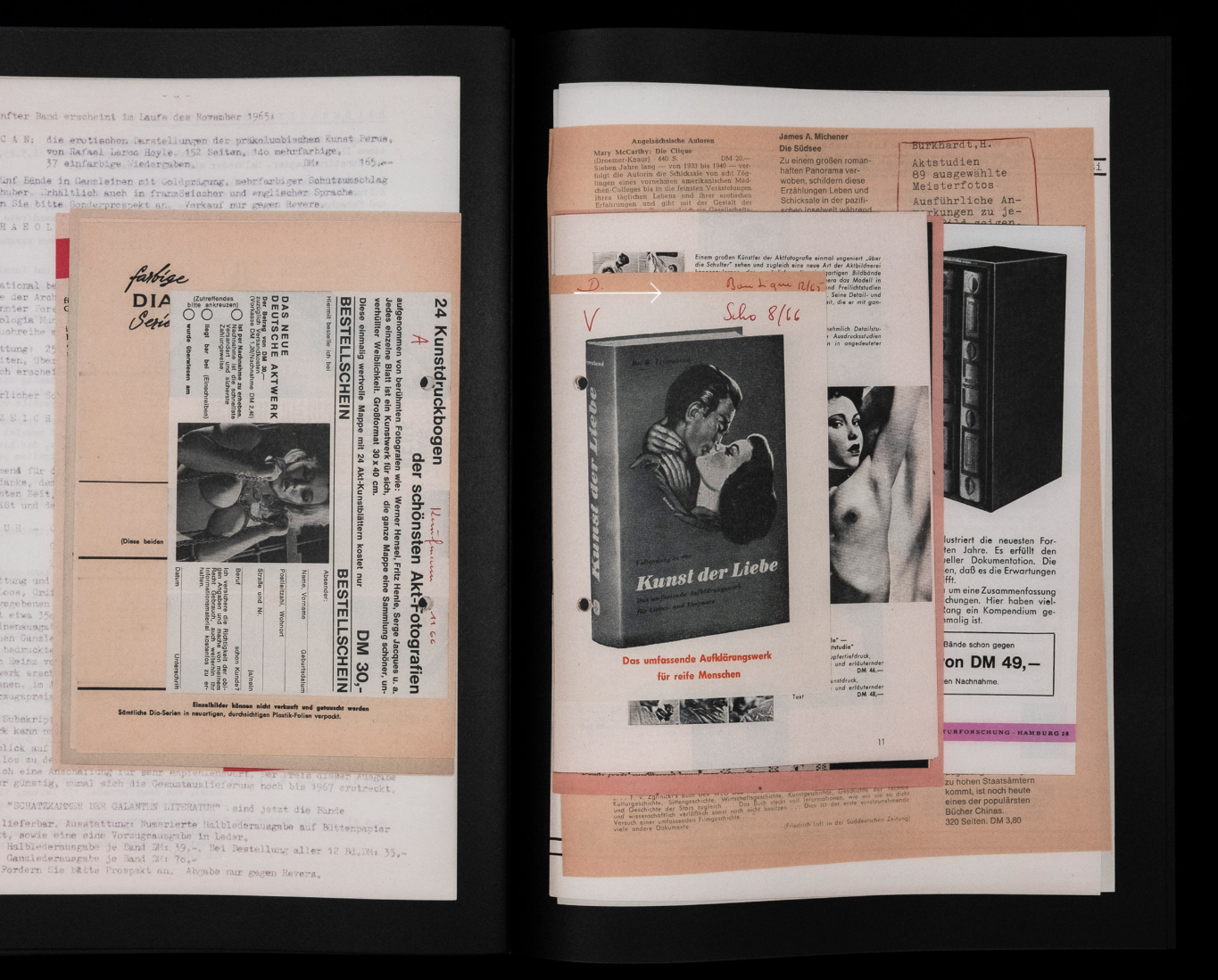 PAGES MORTES N°2 : Ero Wysocka / Pogo