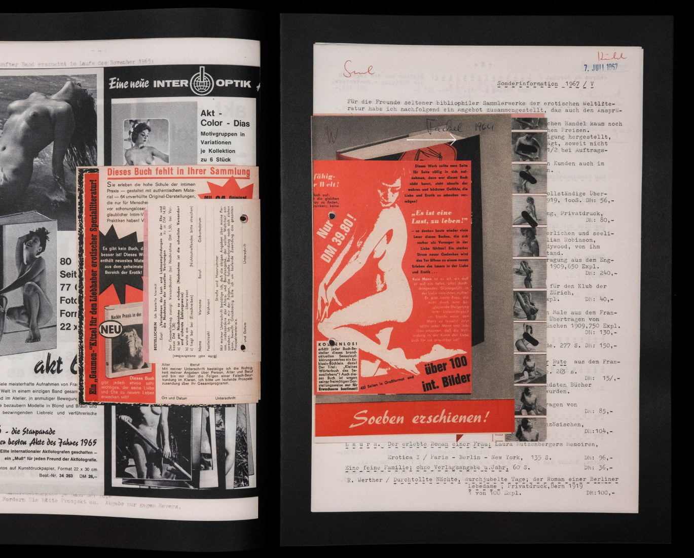 PAGES MORTES N°2 : Ero Wysocka / Pogo