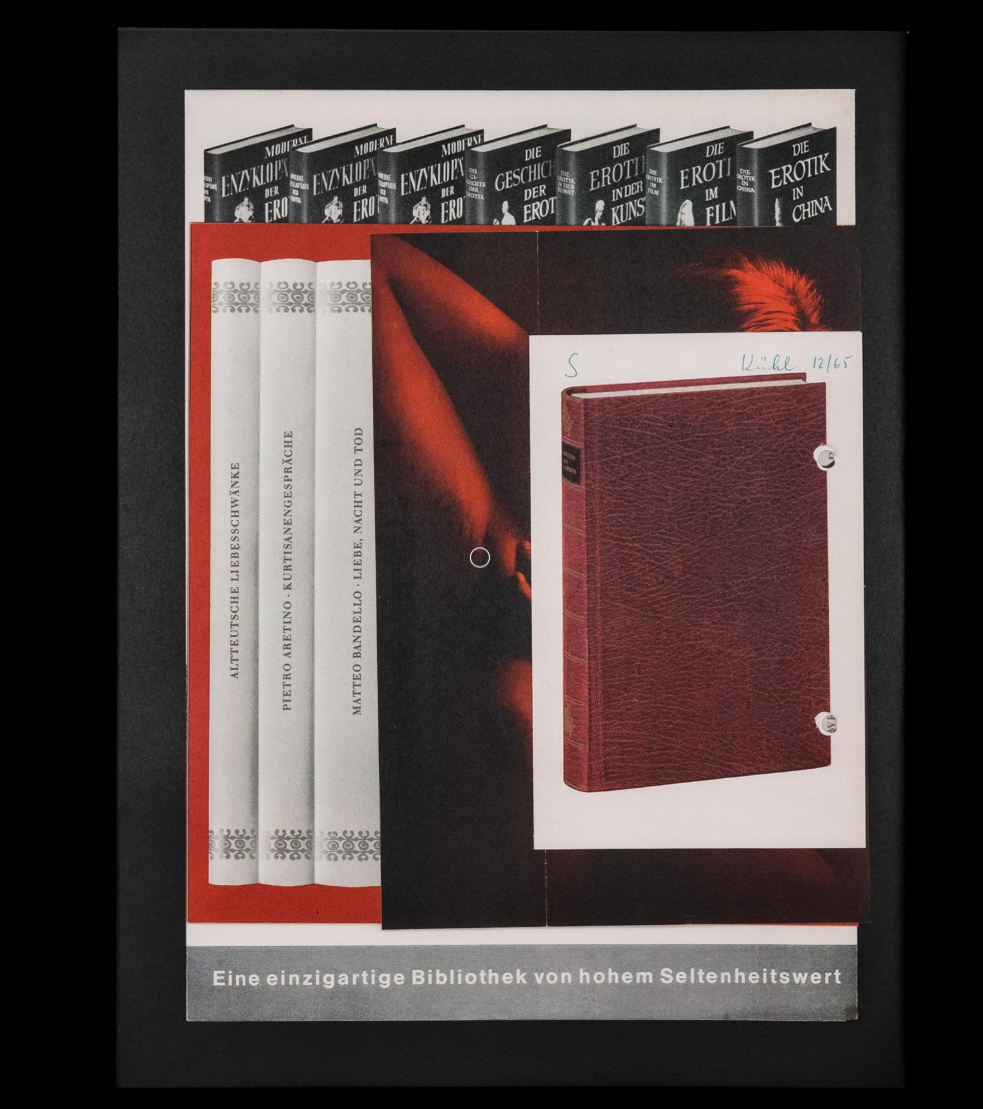 PAGES MORTES N°2 : Ero Wysocka / Pogo