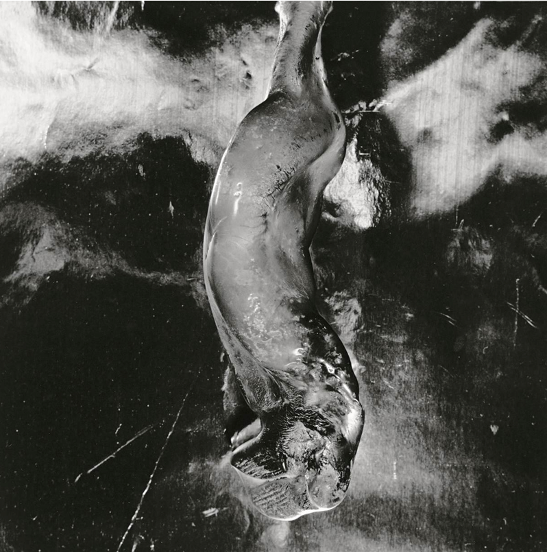 Shomei Tomatsu — Fondation MAPFRE, 2018