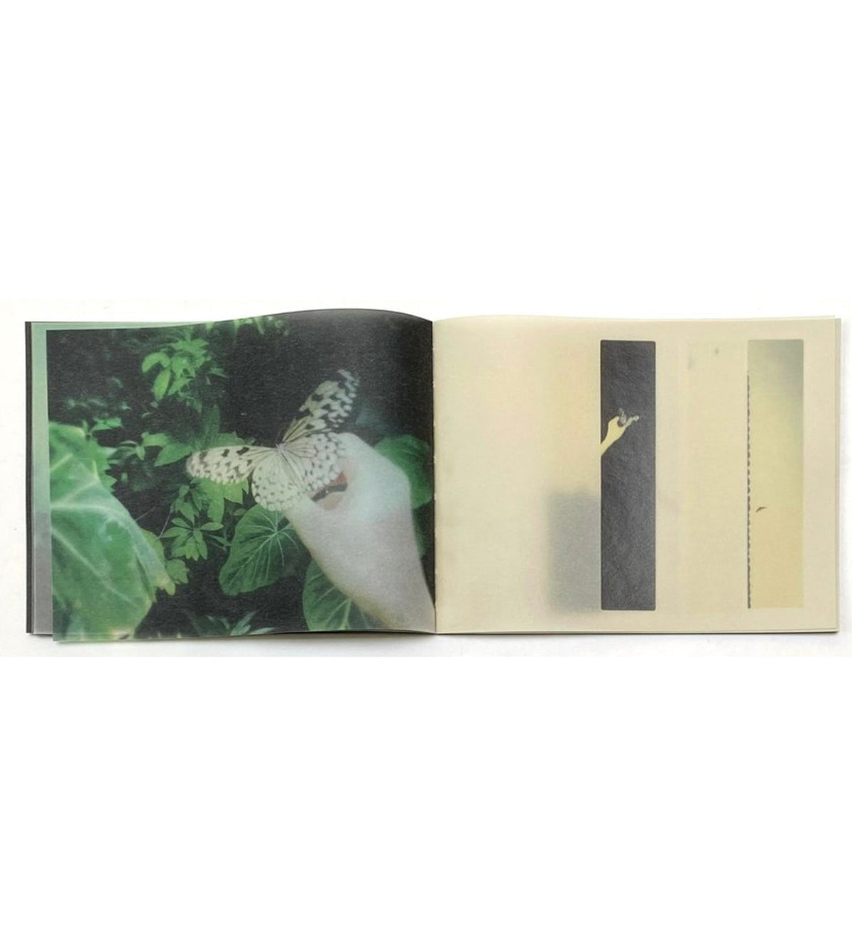 so it goes, so it goes, so it goes, so it goes — Miho Kajioka — the(M) éditions & IBASHO — 2025