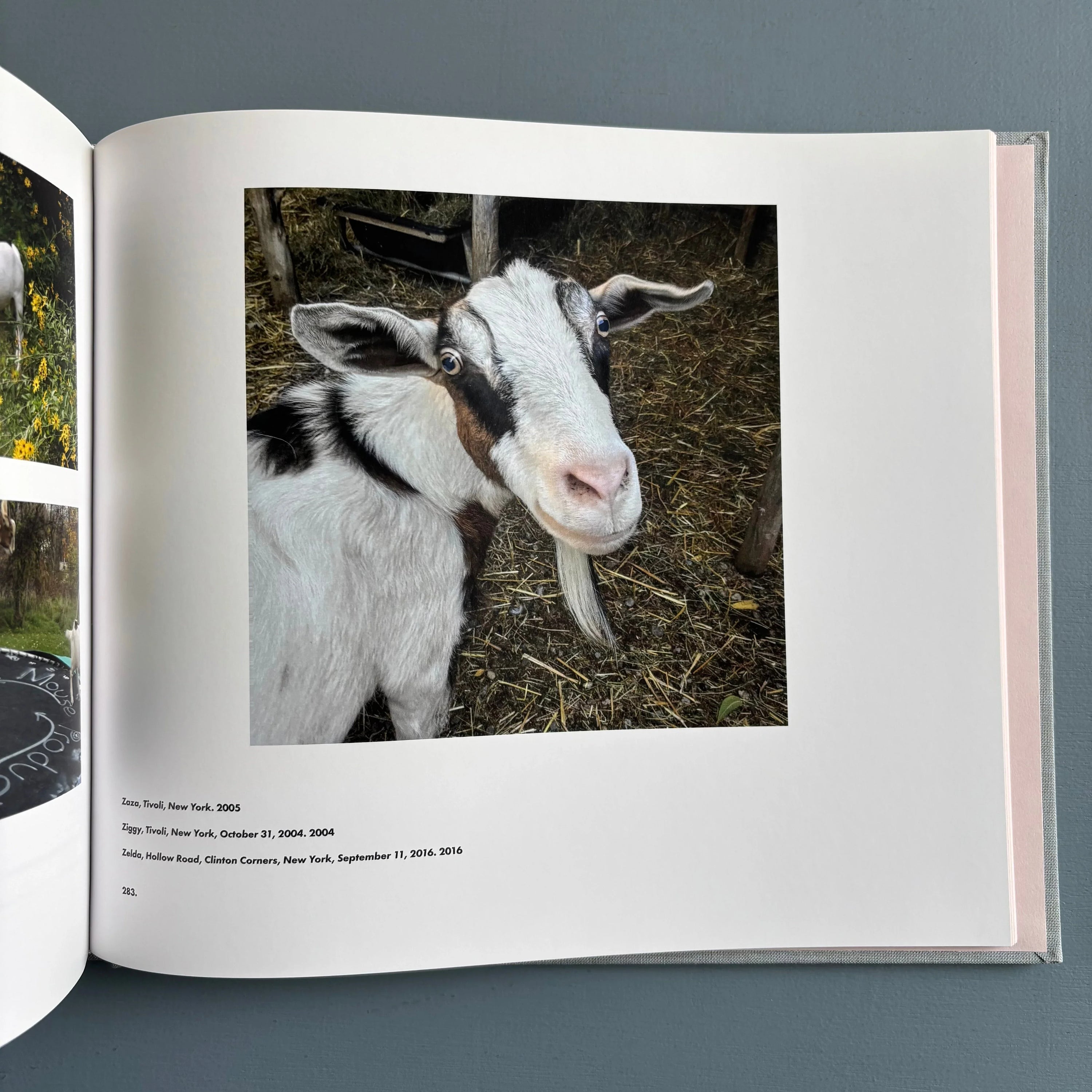 Stephen Shore: Solving Pictures — 2017, Hardback