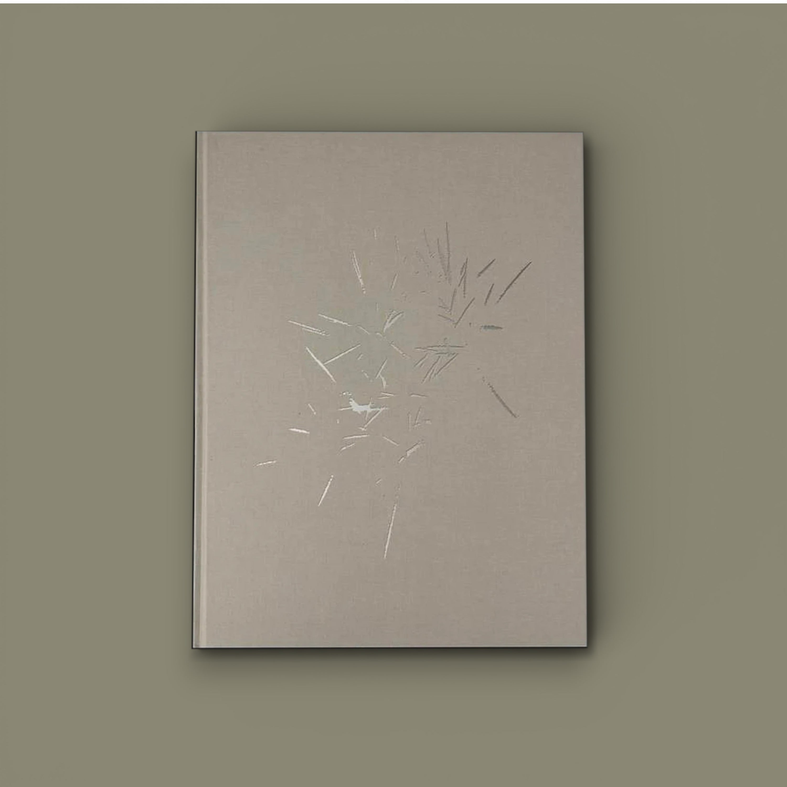 On nous a dit qu'il n'y avait rien et nous sommes allés le chercher — Israel Ariño, con texto de Irma Estrada