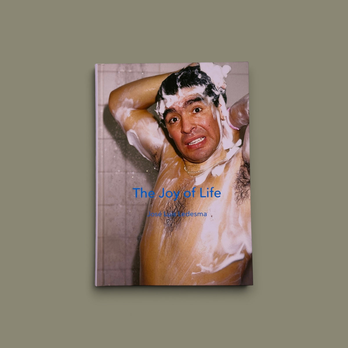 The Joy of Life (Maradona) — José Luis Ledesma — 89books