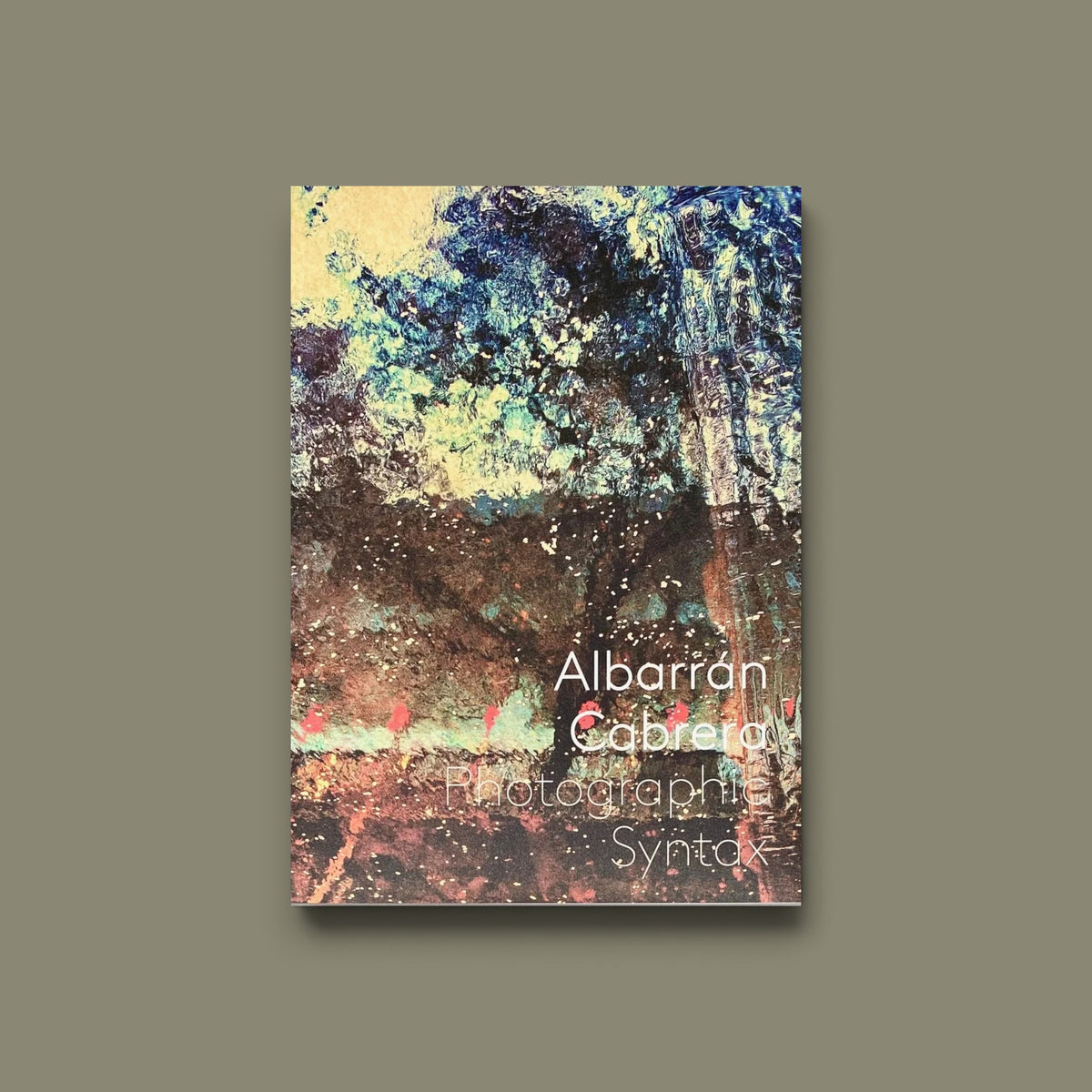 Photographic Syntax — Albarrán Cabrera — the(M) éditions & IBASHO — 2023