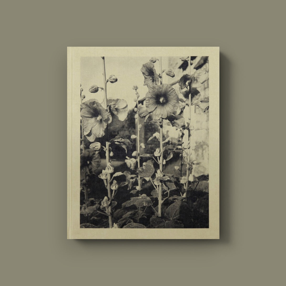 Une infime distance — Nicholas Nixon — Atelier EXB