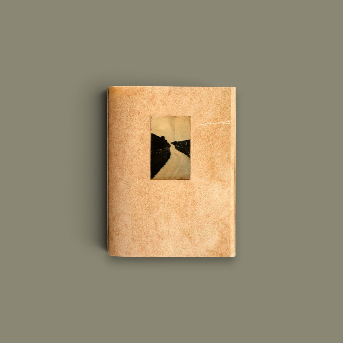 El vuelo lleva al vuelo — Juanan Requena — Ediciones Anómalas — 2025 — Signed & Numbered