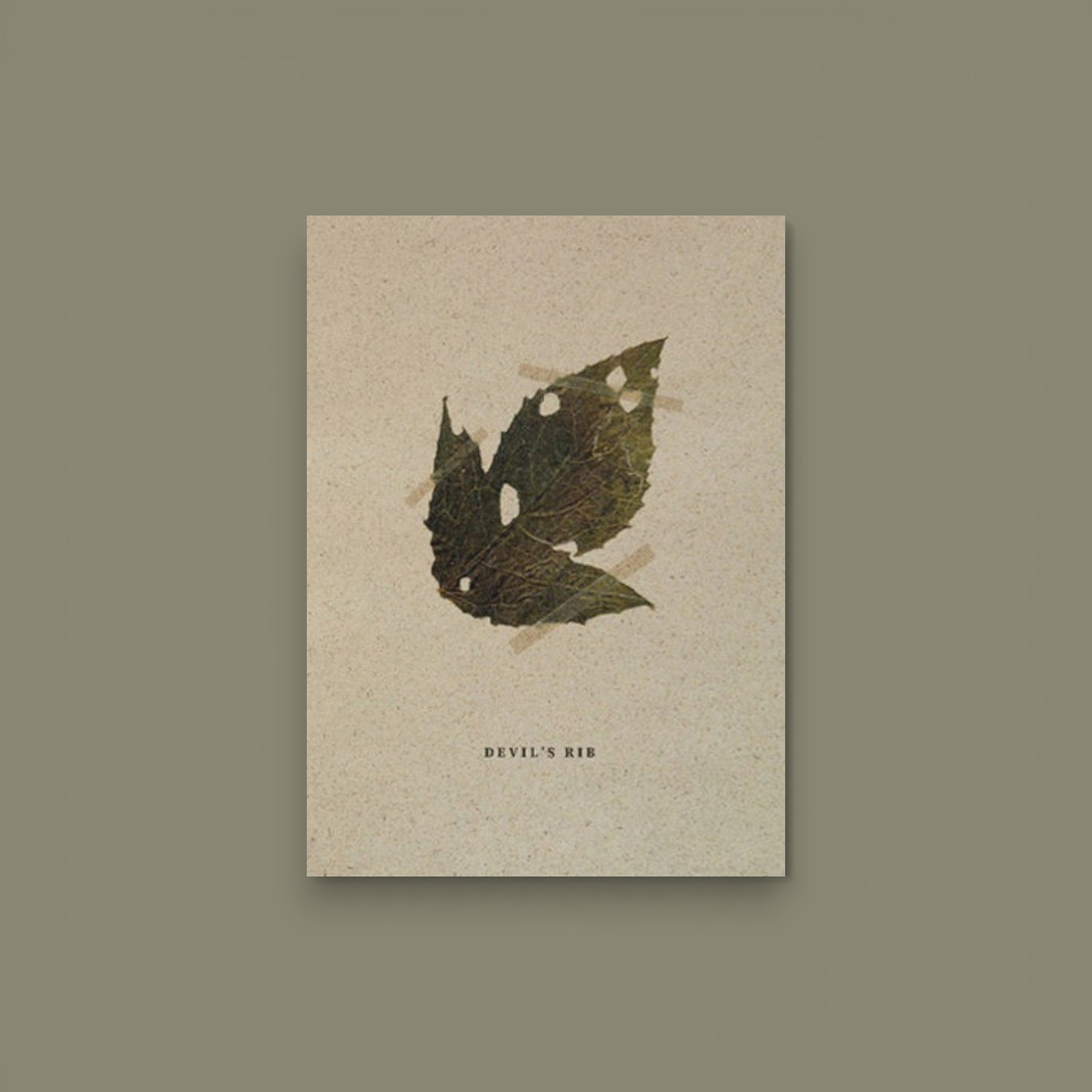 Devil’s Rib — Mateusz Kowalik, Ediciones Posibles, 2023, First Edition