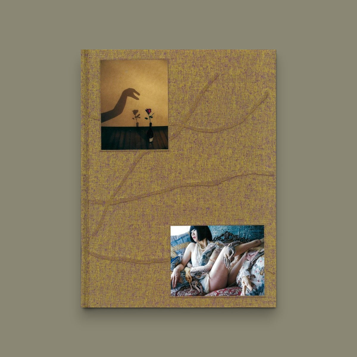 Mother River Homing — Mari Katayama — Akio Nagasawa Publishing — 2021
