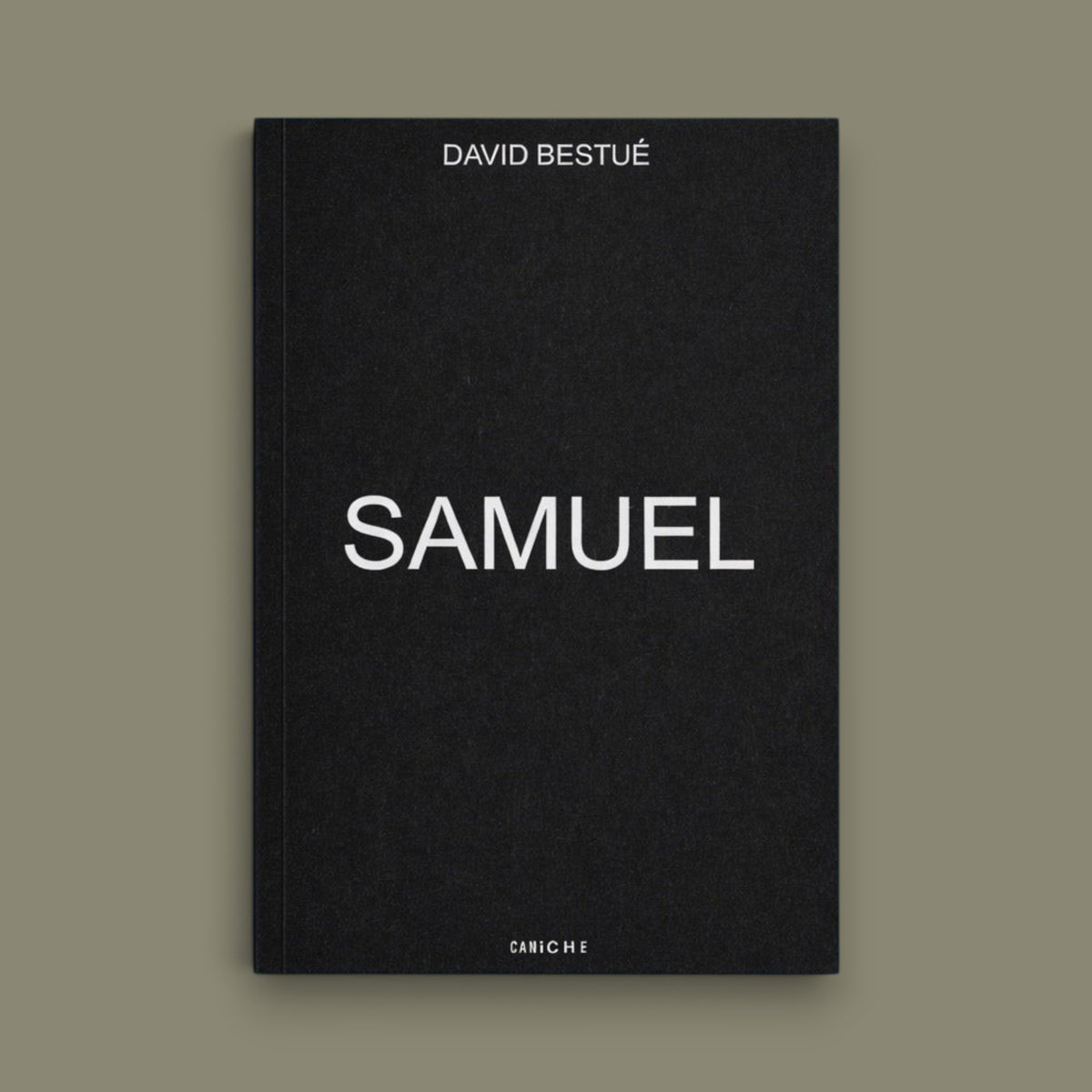 Samuel — David Bestué — Caniche — 2026