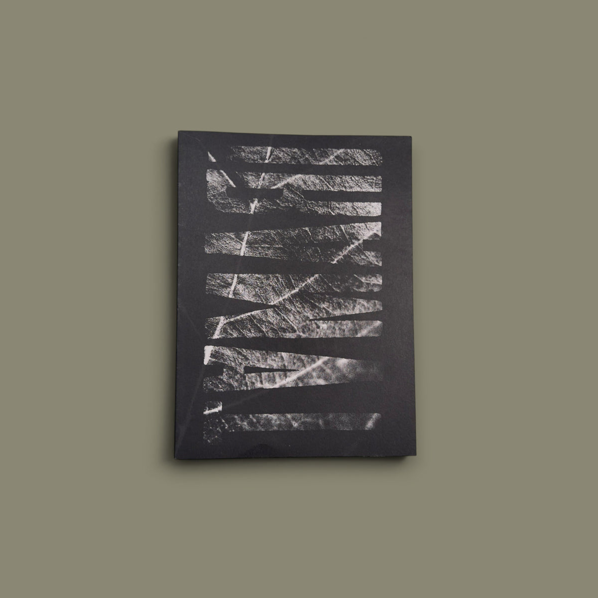 TAMARI: Los que nacen van hacia la muerte — David Arribas — Self-published — 2026