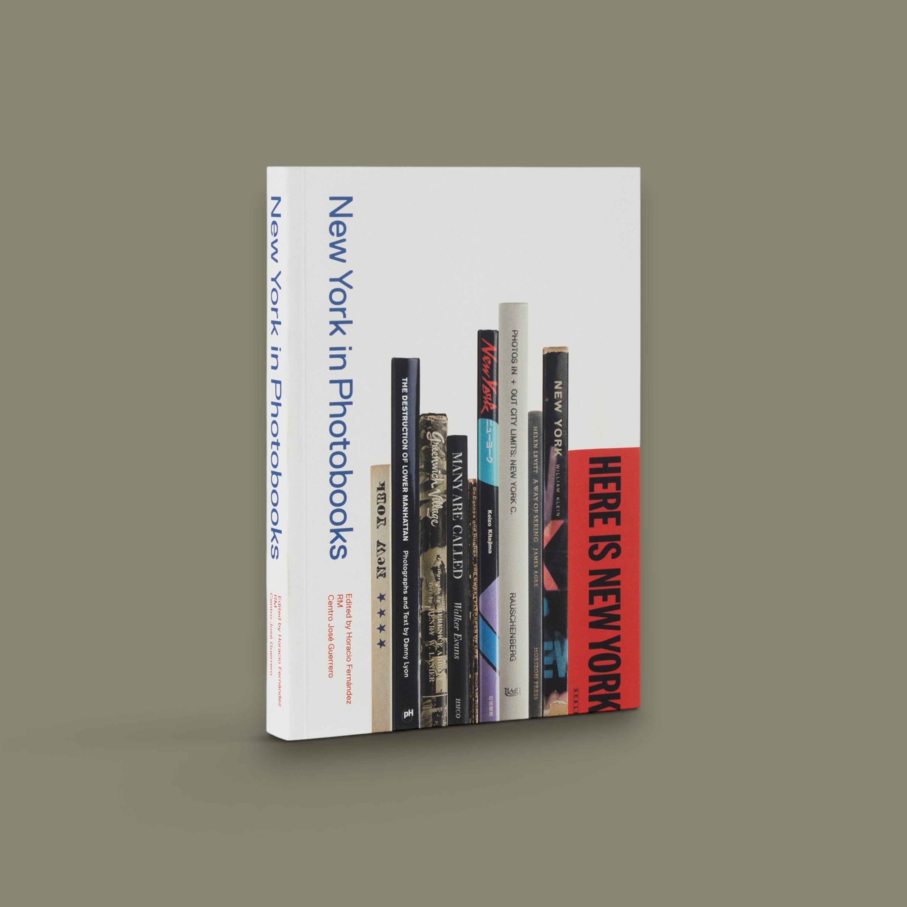 Nueva York en fotolibros — Horacio Fernández — Editorial RM — 2016