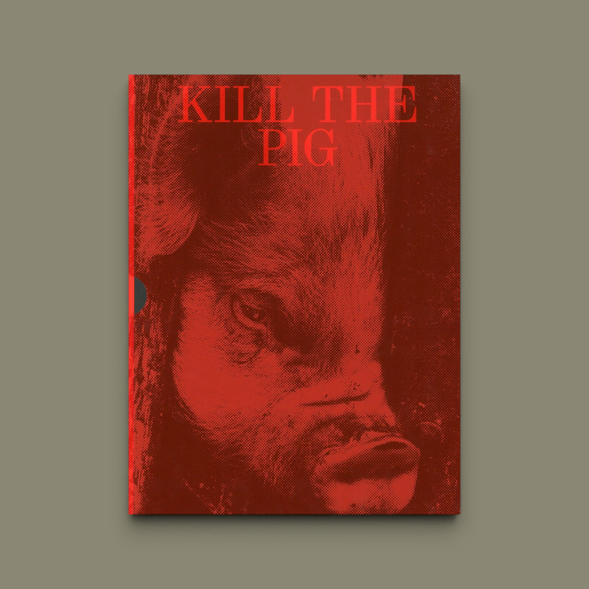 Kill the Pig — Masahisa Fukase — IBASHO & the(M) éditions — 2021