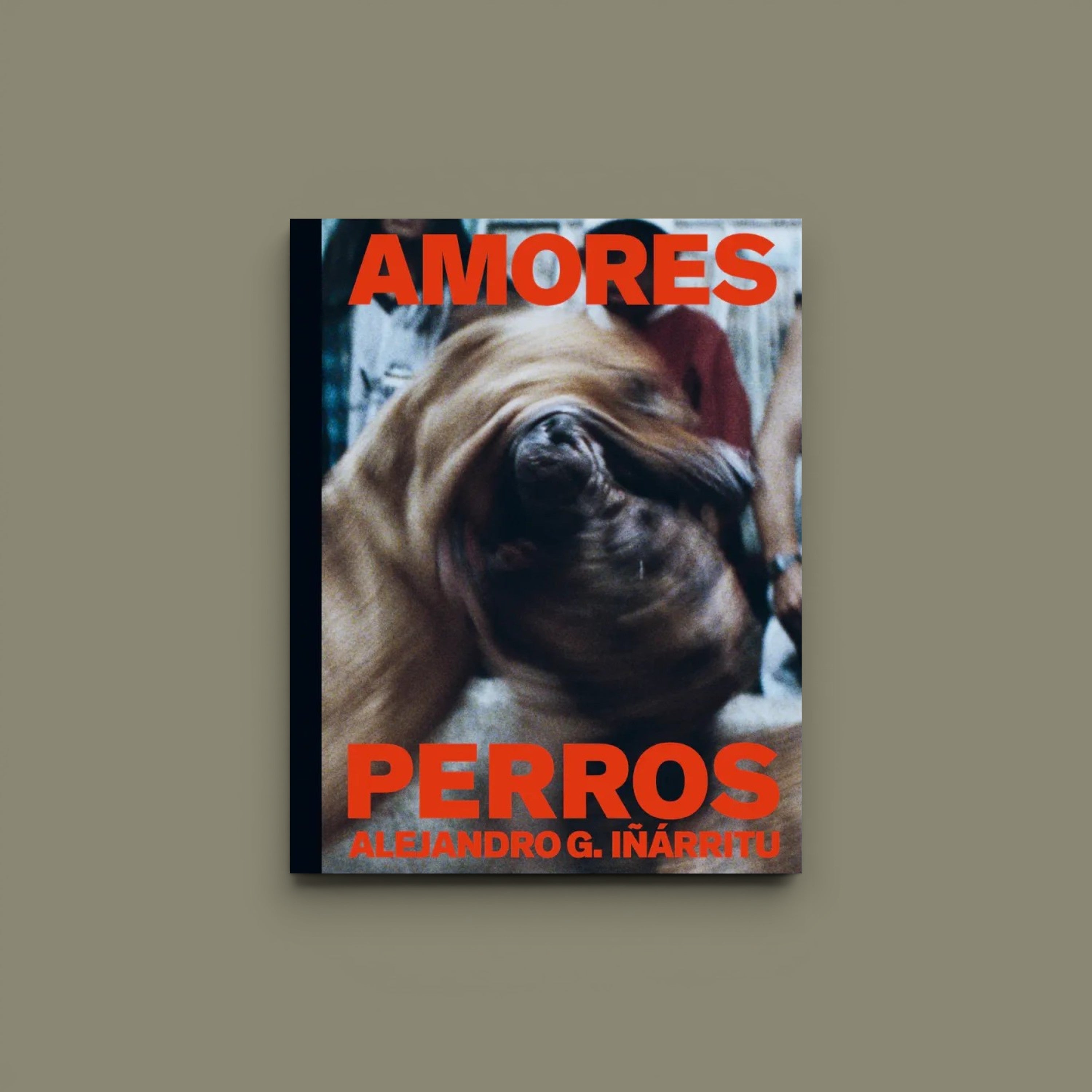 Amores Perros, Alejandro G. Iñárritu, MACK 2026
